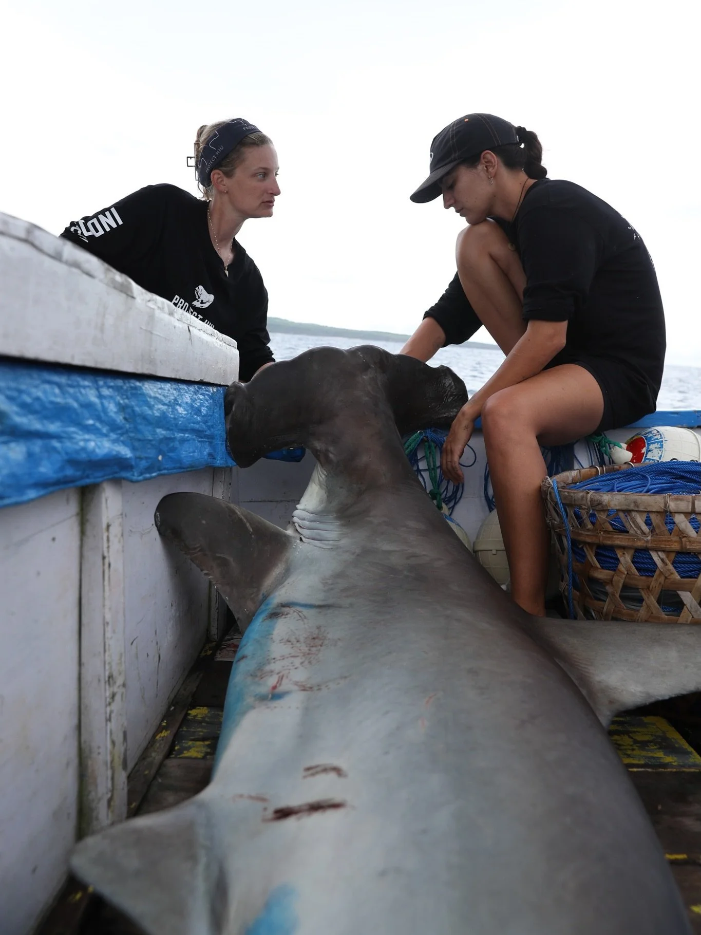 Sometimes being here, on the deck of a fishing boat, in the hands of fishermen who have relied on sharks for generations, you will learn more than you ever imagined &amp; take that lesson to make the biggest difference possible for our sharks 📷 @tan
