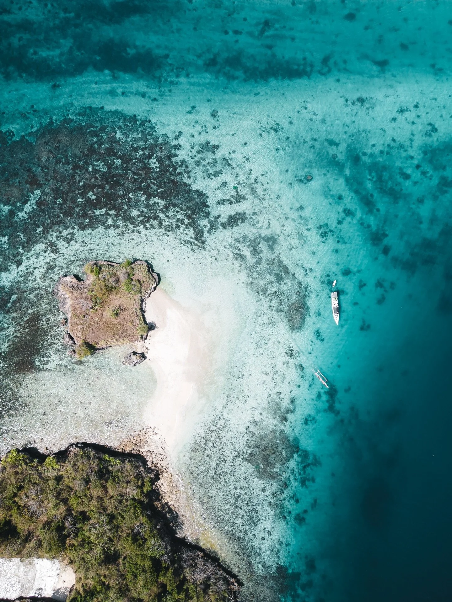 We're back this April, running trips, hiring fishing boats, saving sharks &amp; letting you meet the crew directly! Come see us for a trip giving back to locals &amp; be part of something real 📷 @jackhindle._