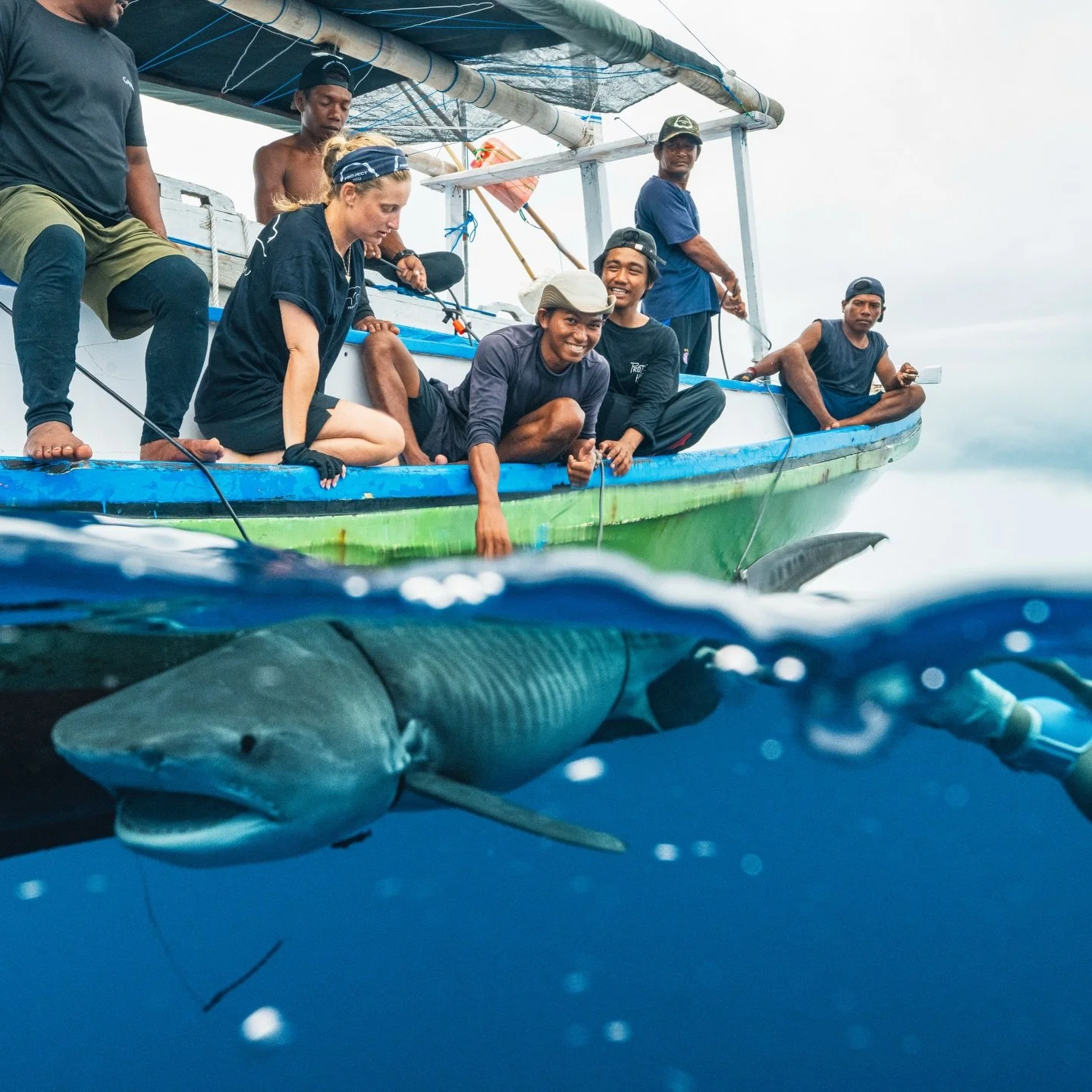 The smile on his face says it all, this is what our crew does best. We rely on generational knowledge to be able to research sharks in this heavily fished ocean. Conservation and culture don&rsquo;t have to be in conflict, generations of shark fishin