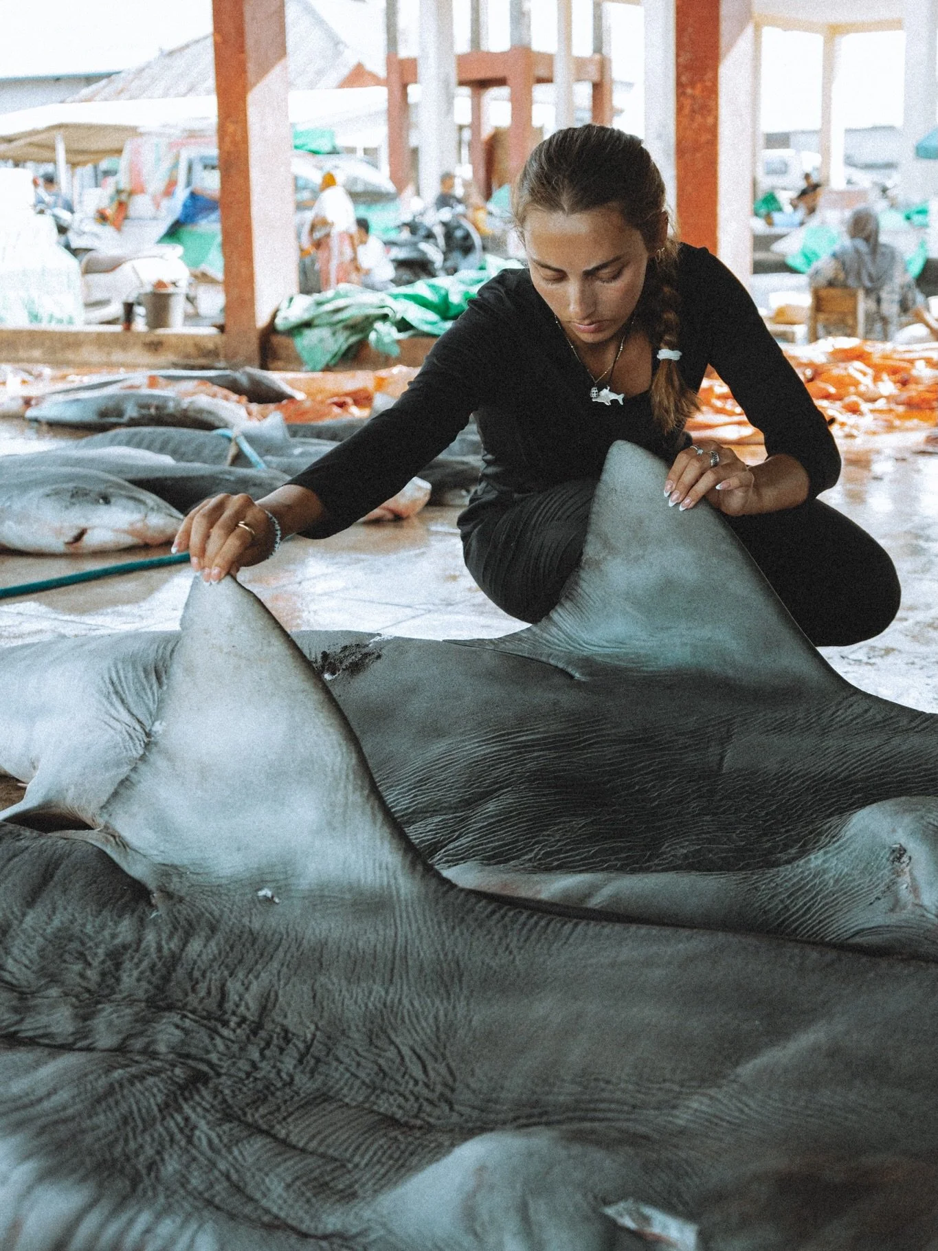 We're grateful for our interns, because we can't do all this by ourselves 🦈📷 @mlost