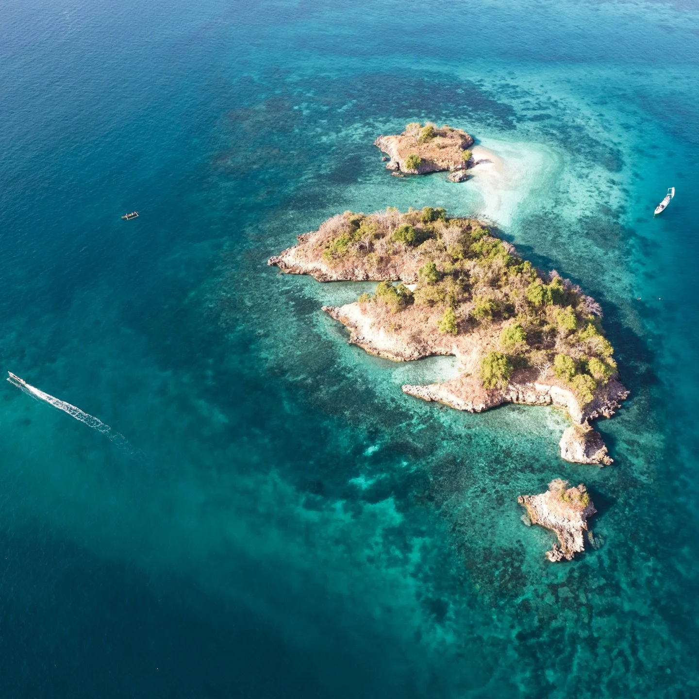 Spend a day in the wild with us 🦈🩵