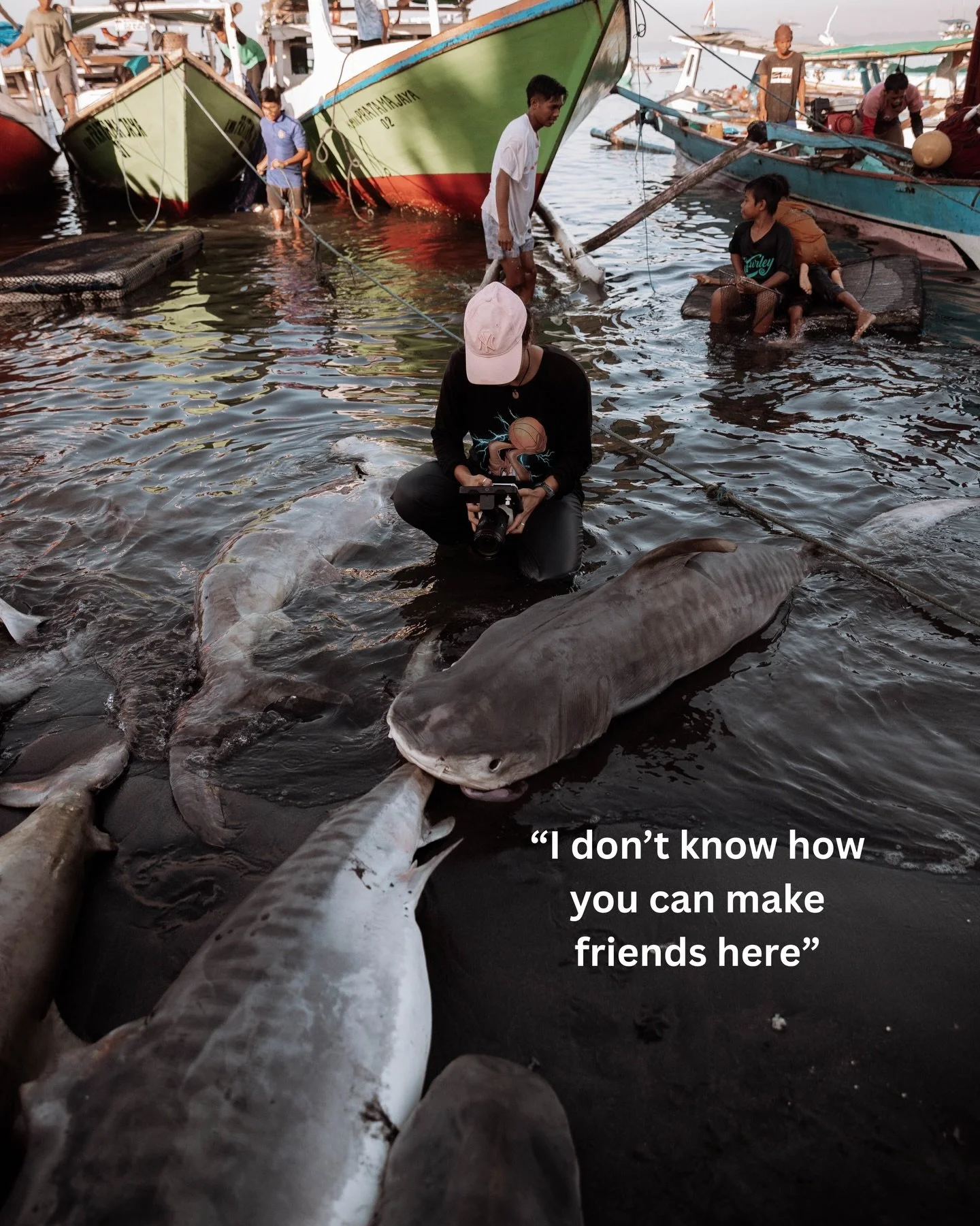 Some of us grew up swimming with sharks and some of us grew up fishing them, the only difference is where we were born. The sooner we understand that, the sooner we change the world 📷 @caraghcreated