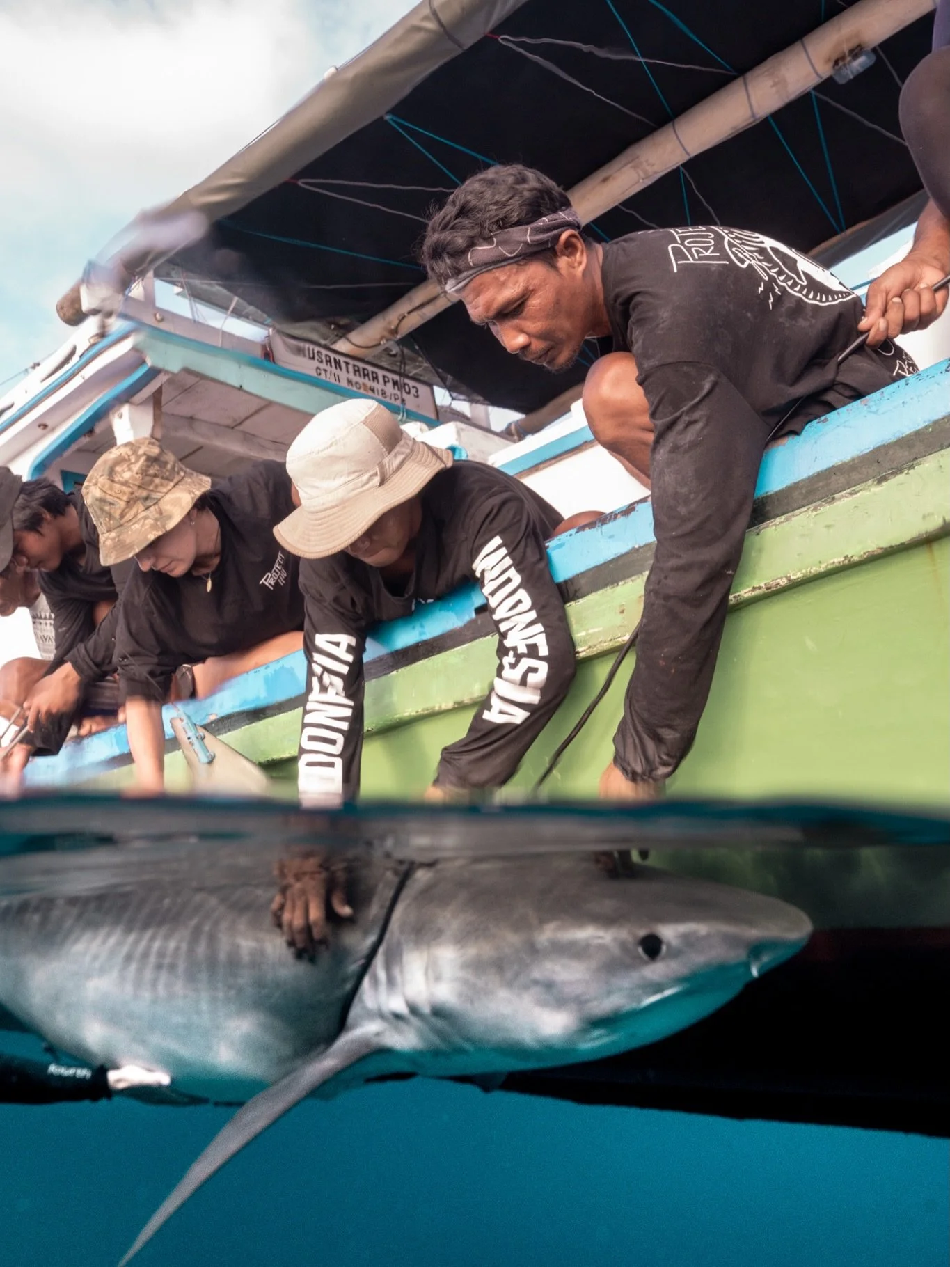 Support our boys in the field tagging &amp; releasing instead of hunting, research crew shirts are back in stock for a limited time 🦈 📷 @tannerunderwater