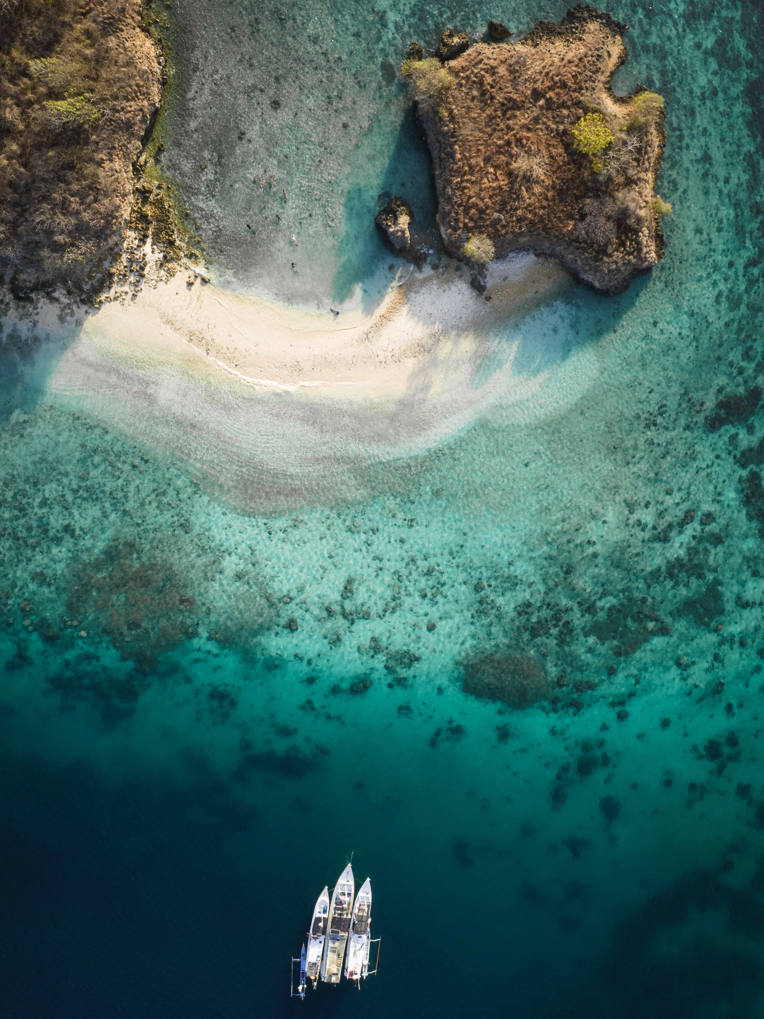 We want to thank everyone that joined a day trip with us in May, you weren't just on Lombok, you were in it 🦈🩵