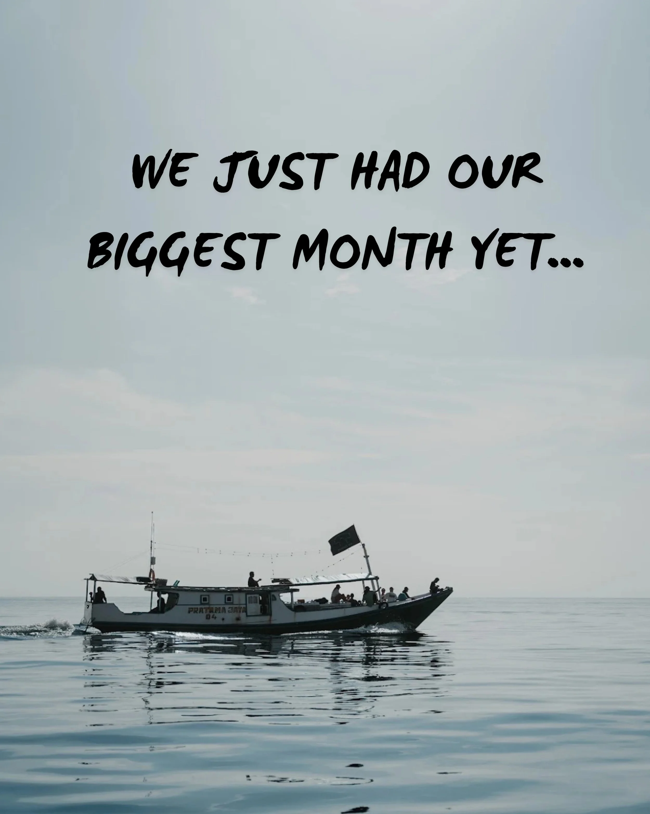 OUR BIGGEST MONTH YET! Thank you everyone for your support 🩵 #may #savesharks #lombok #indonesia