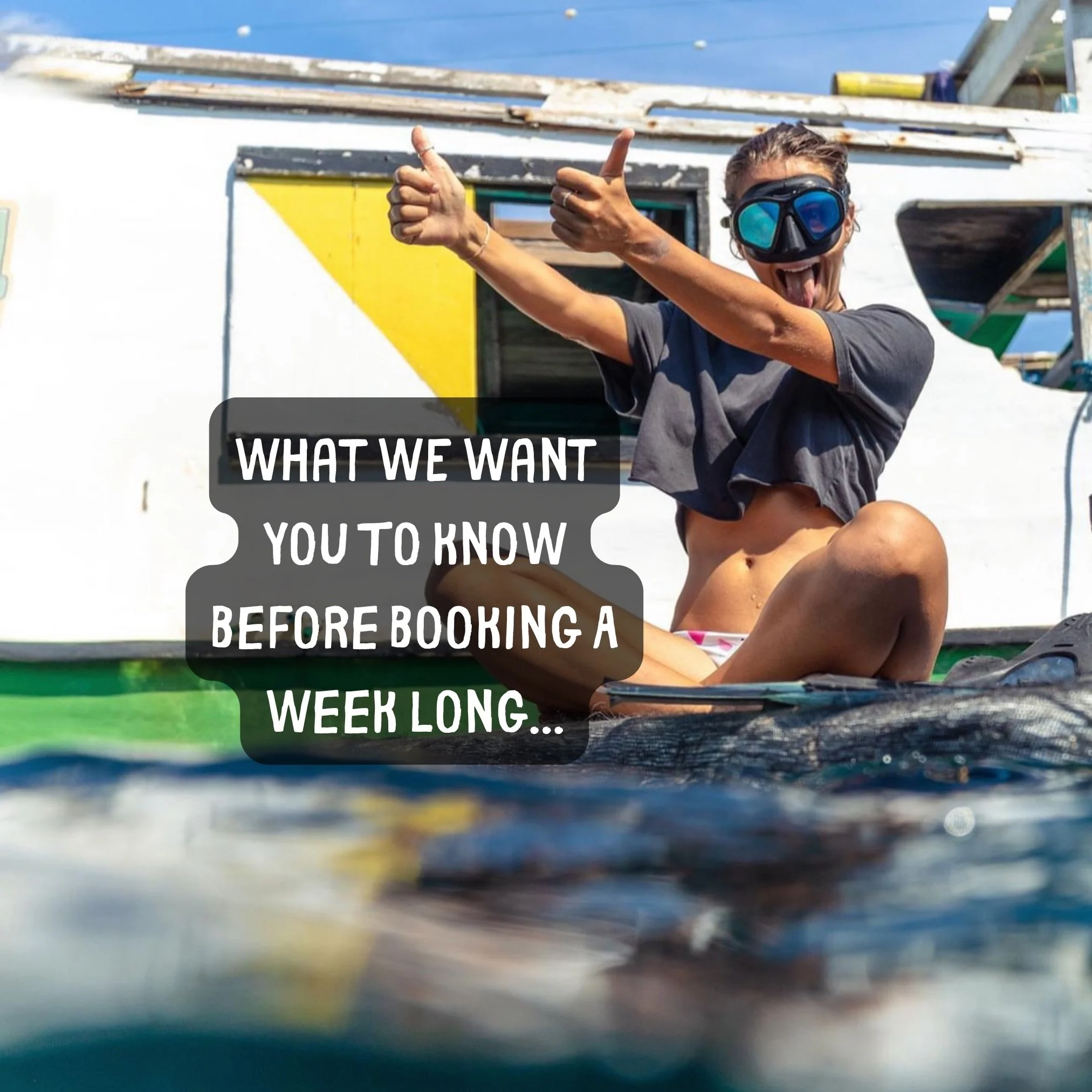 An all inclusive project experience guided by @sharkgirlmadison &amp; the fishermen of Project Hiu, there are only two spots left on our upcoming expedition, book now through the link in our bio 🦈