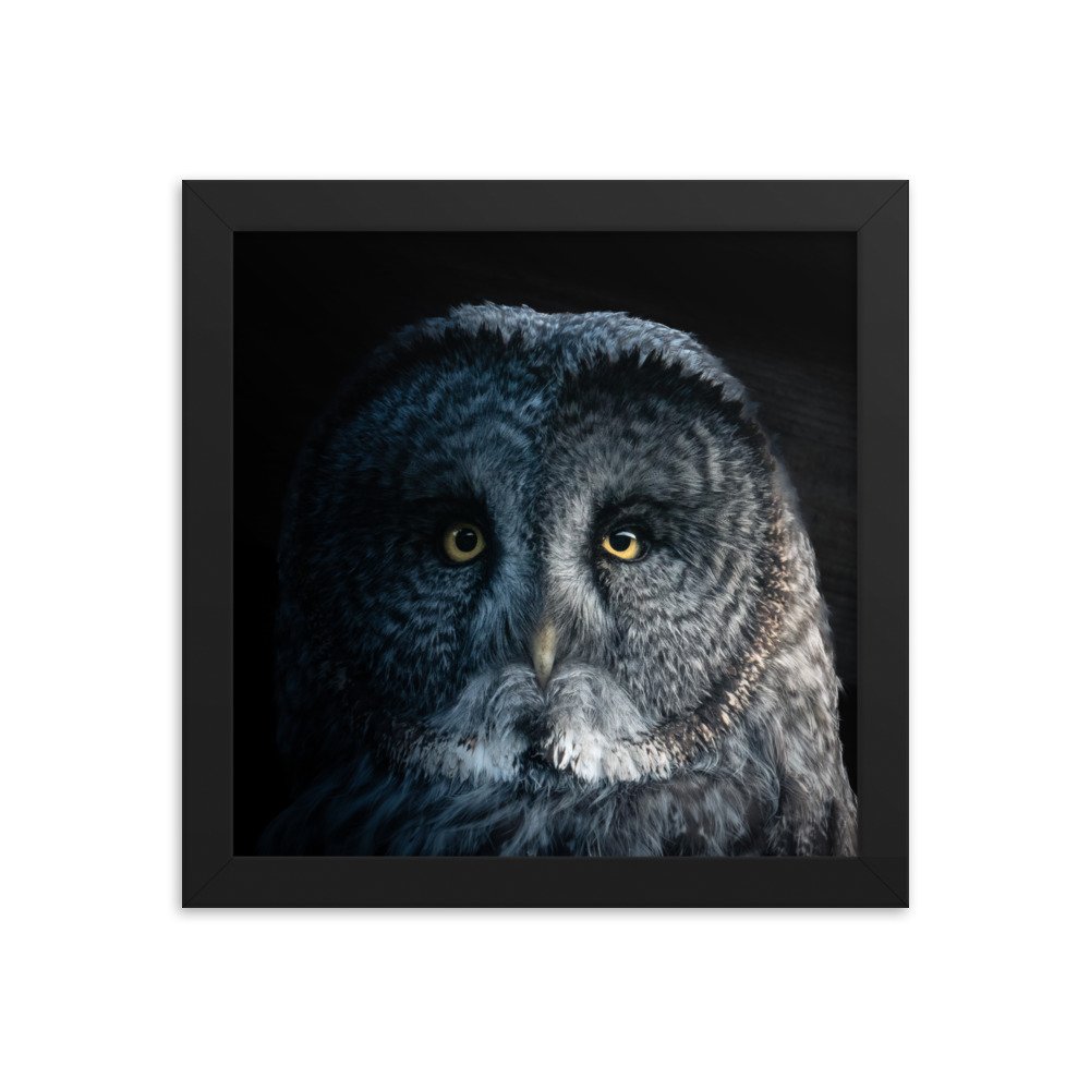 enhanced-matte-paper-framed-poster-(in)-black-10x10-transparent-677c7a79f20cc.jpg