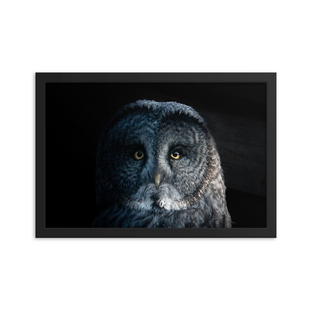 enhanced-matte-paper-framed-poster-(in)-black-12x18-transparent-677c7a79f2247.jpg