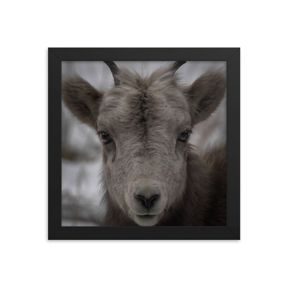 enhanced-matte-paper-framed-poster-(in)-black-10x10-transparent-677c7b74b35da.jpg
