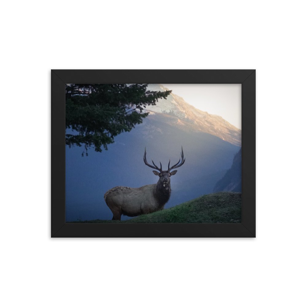enhanced-matte-paper-framed-poster-(in)-black-8x10-transparent-677c7c43813eb.jpg