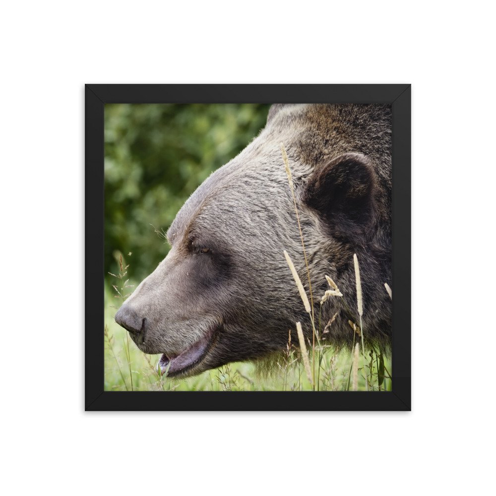 enhanced-matte-paper-framed-poster-(in)-black-12x12-transparent-677c7eaa5395f.jpg