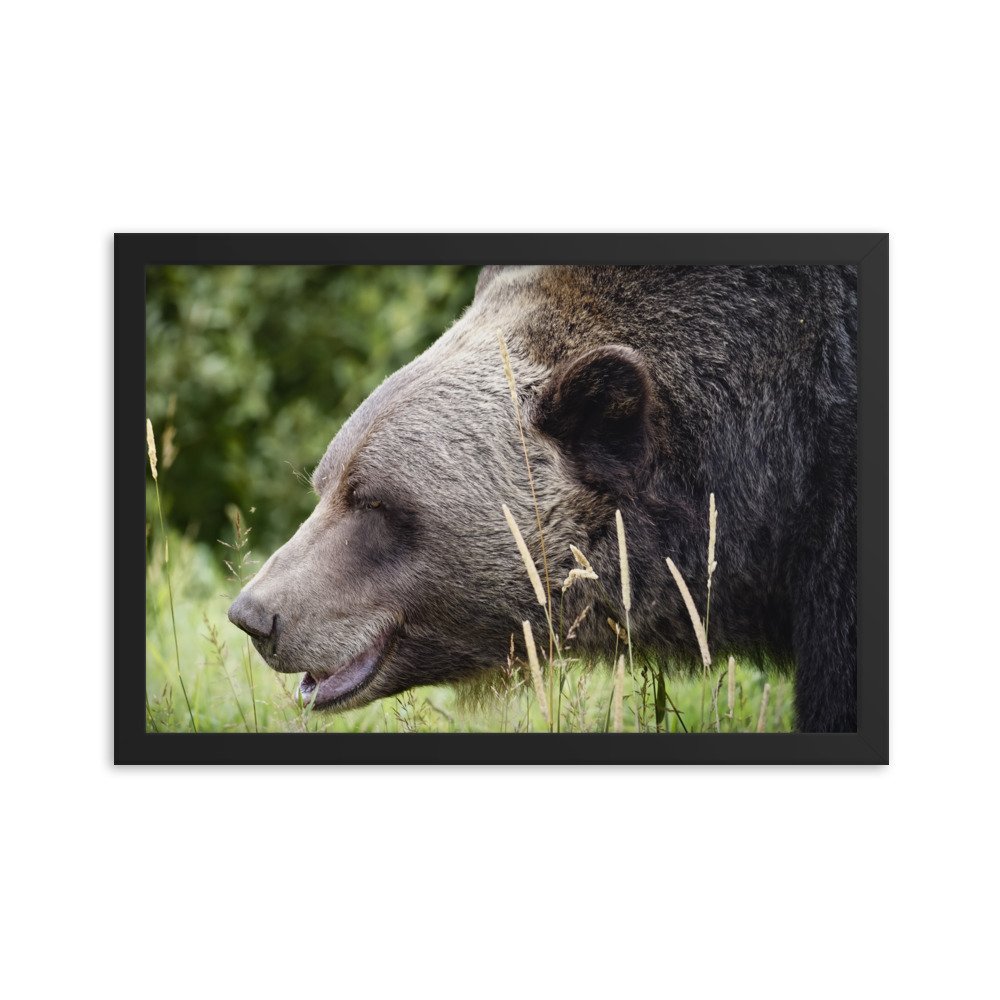 enhanced-matte-paper-framed-poster-(in)-black-12x18-transparent-677c7eaa53a9c.jpg