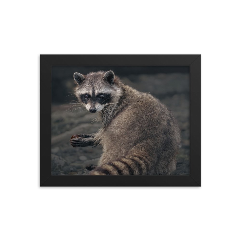enhanced-matte-paper-framed-poster-(in)-black-8x10-transparent-677c82171f50e.jpg