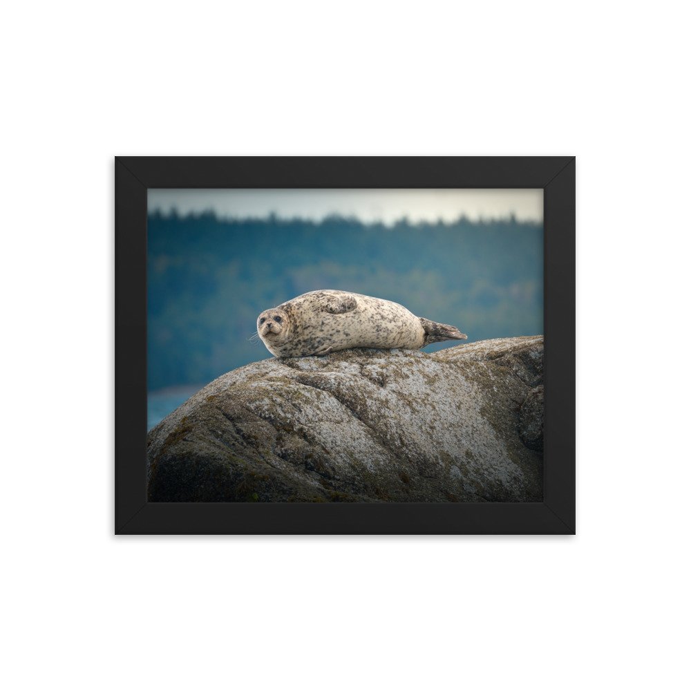 enhanced-matte-paper-framed-poster-(in)-black-8x10-transparent-677c83f6e227a.jpg