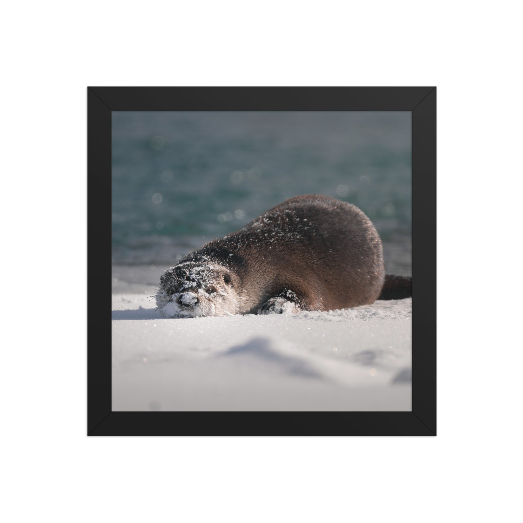 enhanced-matte-paper-framed-poster-(in)-black-10x10-front-67b94ac92823f.jpg