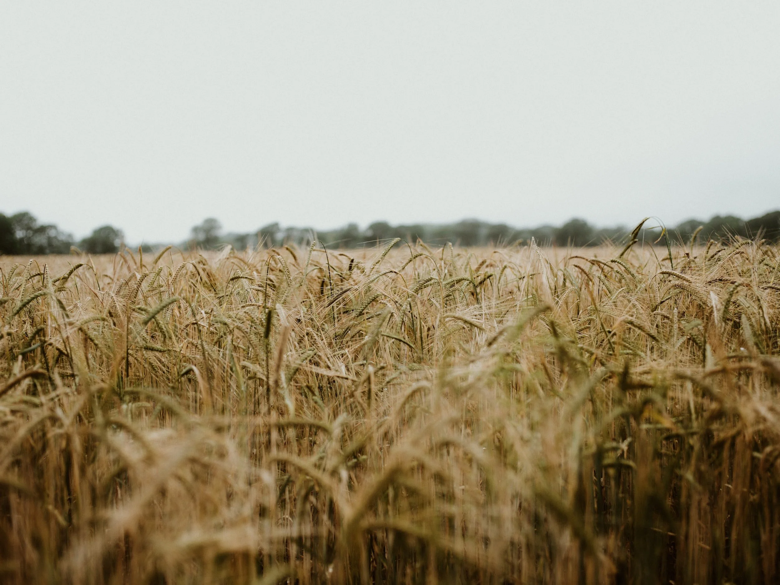 unsplash-image-6Z38eY_jvBk.jpg