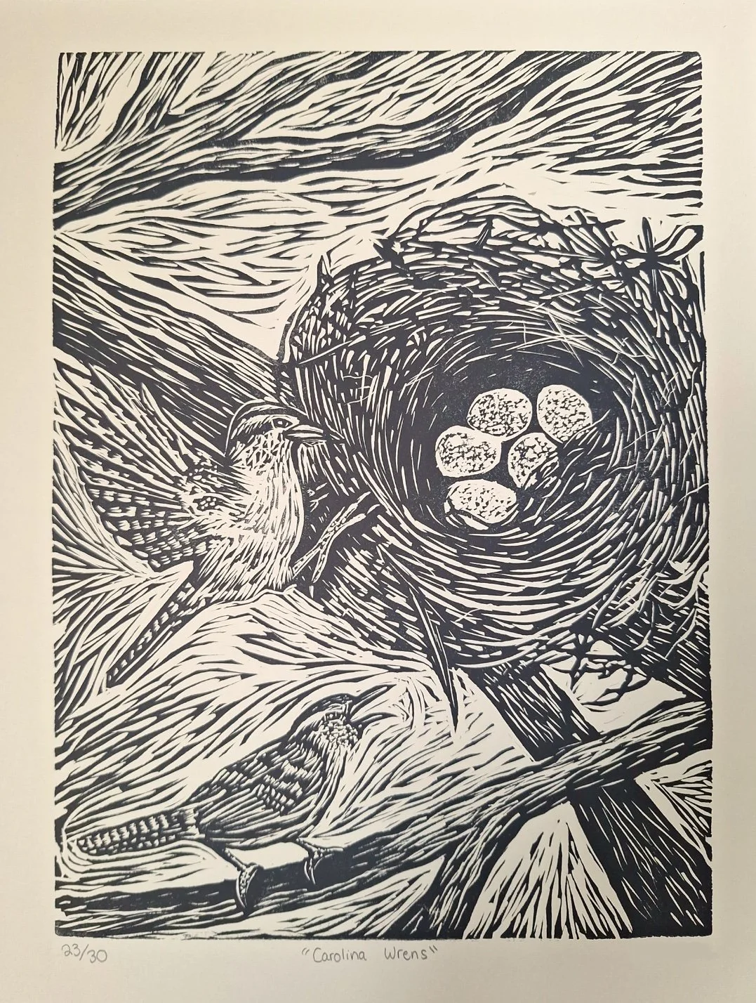 "Carolina Wrens" 9"x12" linocut. Hand carved and printed on 11"x14" BFK lightweight paper. All 30 editions in "Portfolio 24".