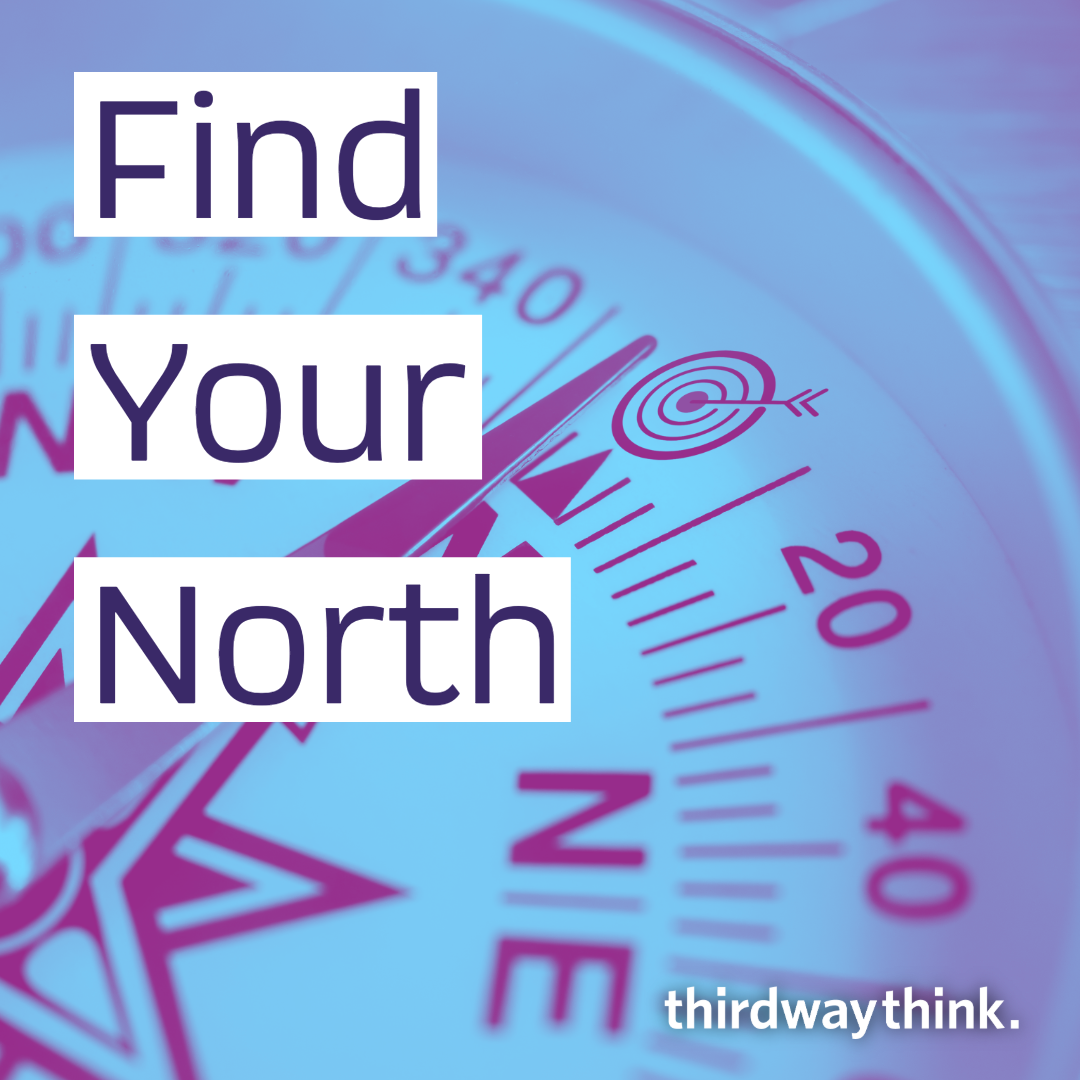 Find Your North