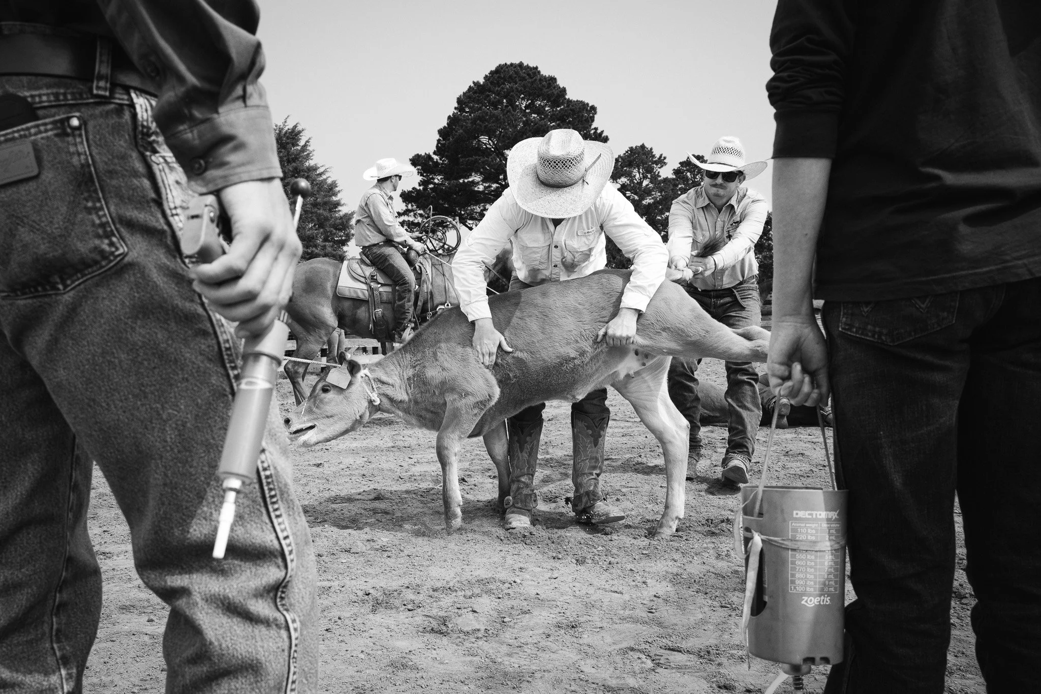 L1010533.jpg