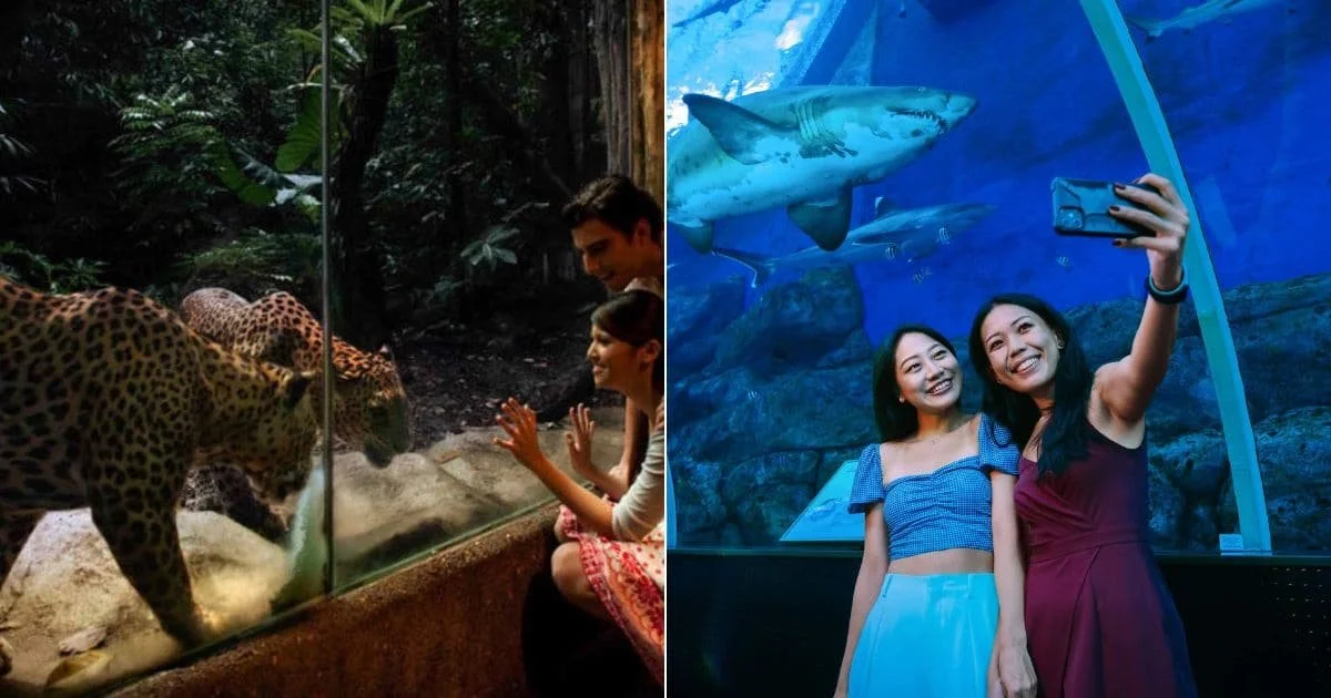 5 Best Singapore Zoos & Aquariums Ticket Deals, Maps, & More