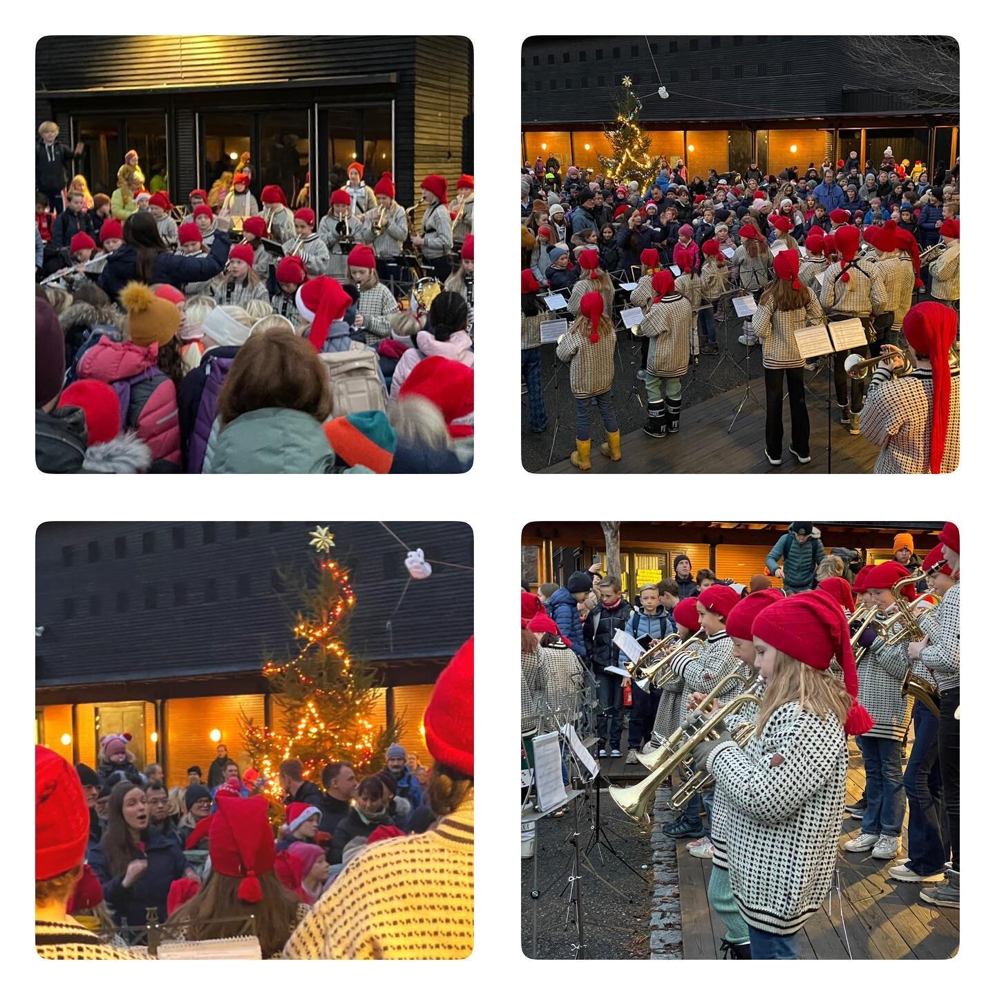 Julegrana tent p&aring; Sk&oslash;yen Skole! Med 30 supre Peikere p&aring; plass en tidlig morgenstund. Det l&aring;t nydelig - takk for innsatsen, og takk til @camilla_hole! #peikskolekorps #sk&oslash;yenskole #julespilling #skolekorps #nmf