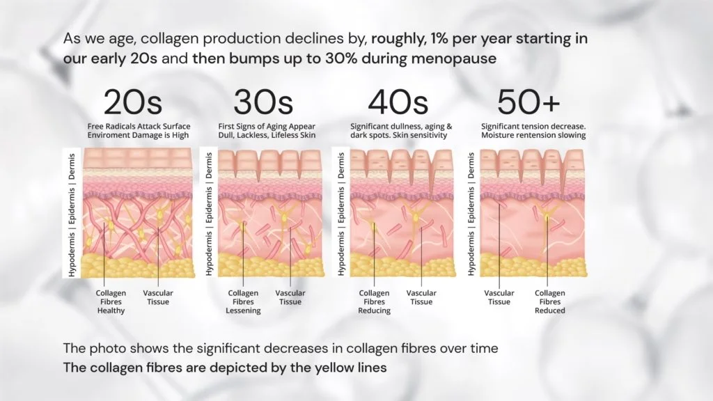 Diagram illustrating age-related decline in collagen production, showing four stages: 20s, 30s, 40s, and 50+, with decreasing collagen fibers and vascular tissue over time.