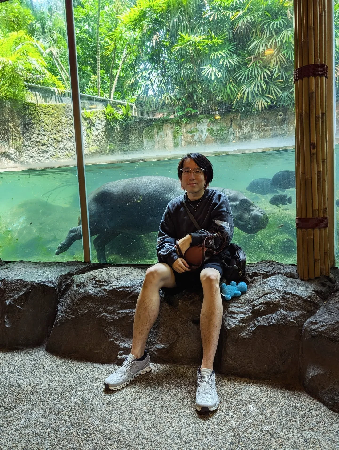 Welcome to the era of hippopotamus 🦛😎