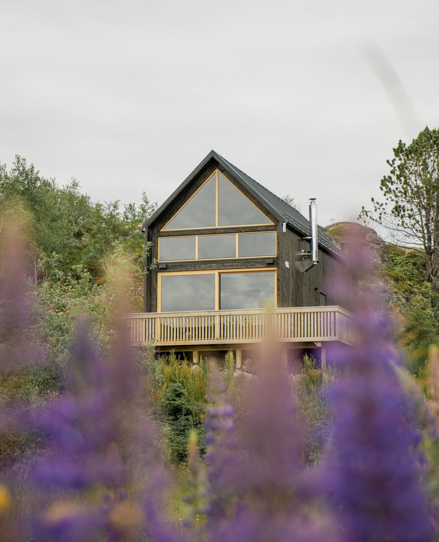 A panoramic cabin for the summer changes everything 😎