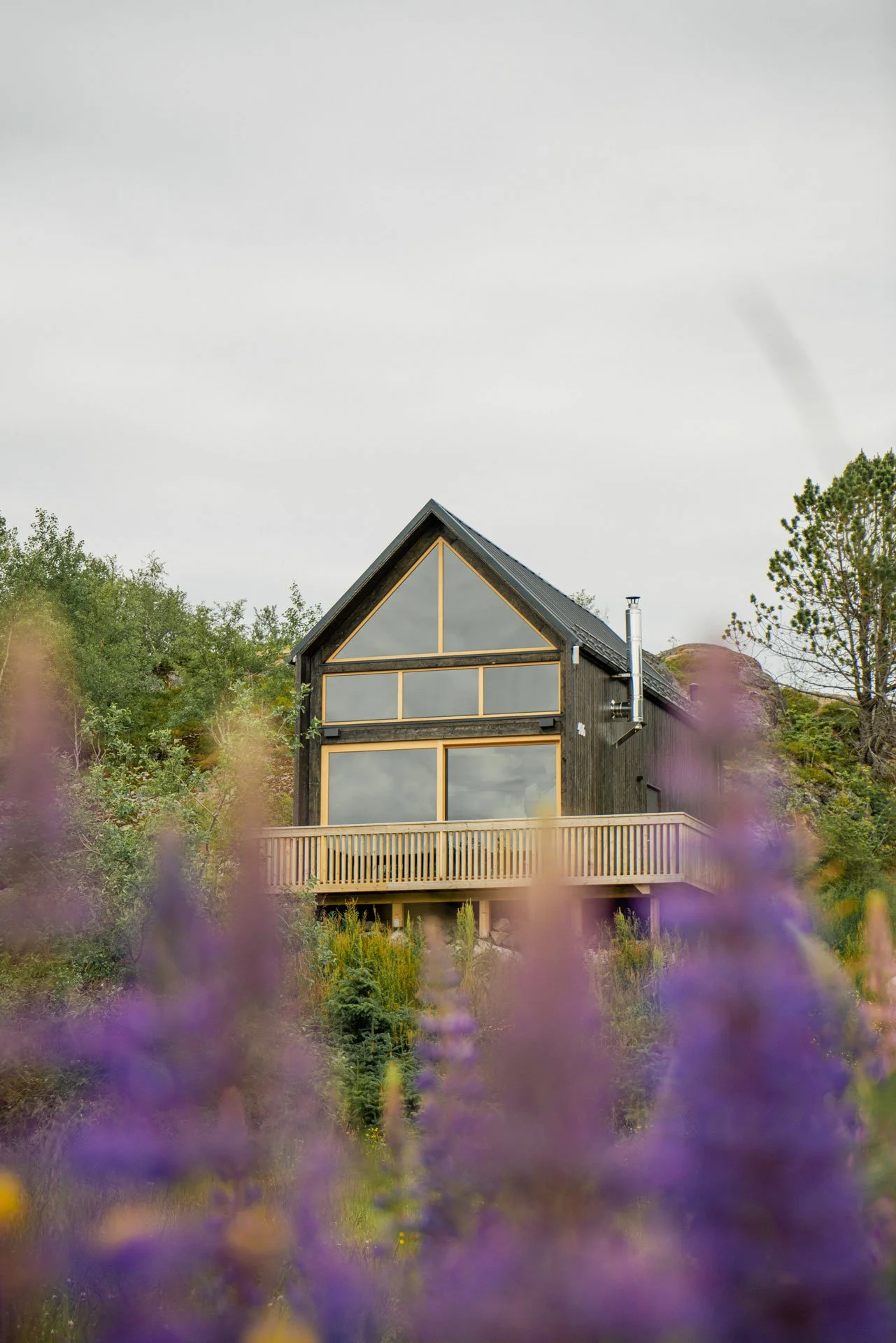 A modern black wooden house with large glass windows and a balcony, surrounded by purple flowers and greenery under an overcast sky.