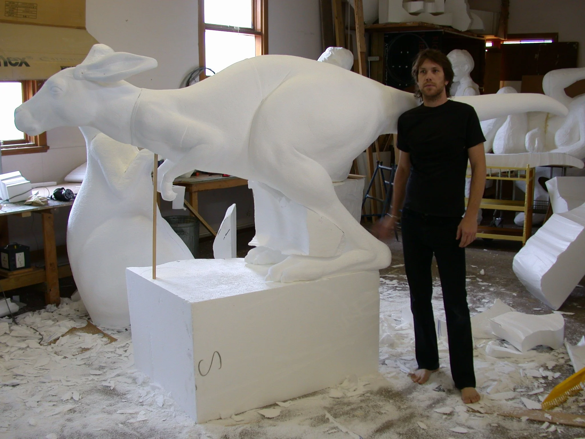 Copy of DSCN8518.JPG