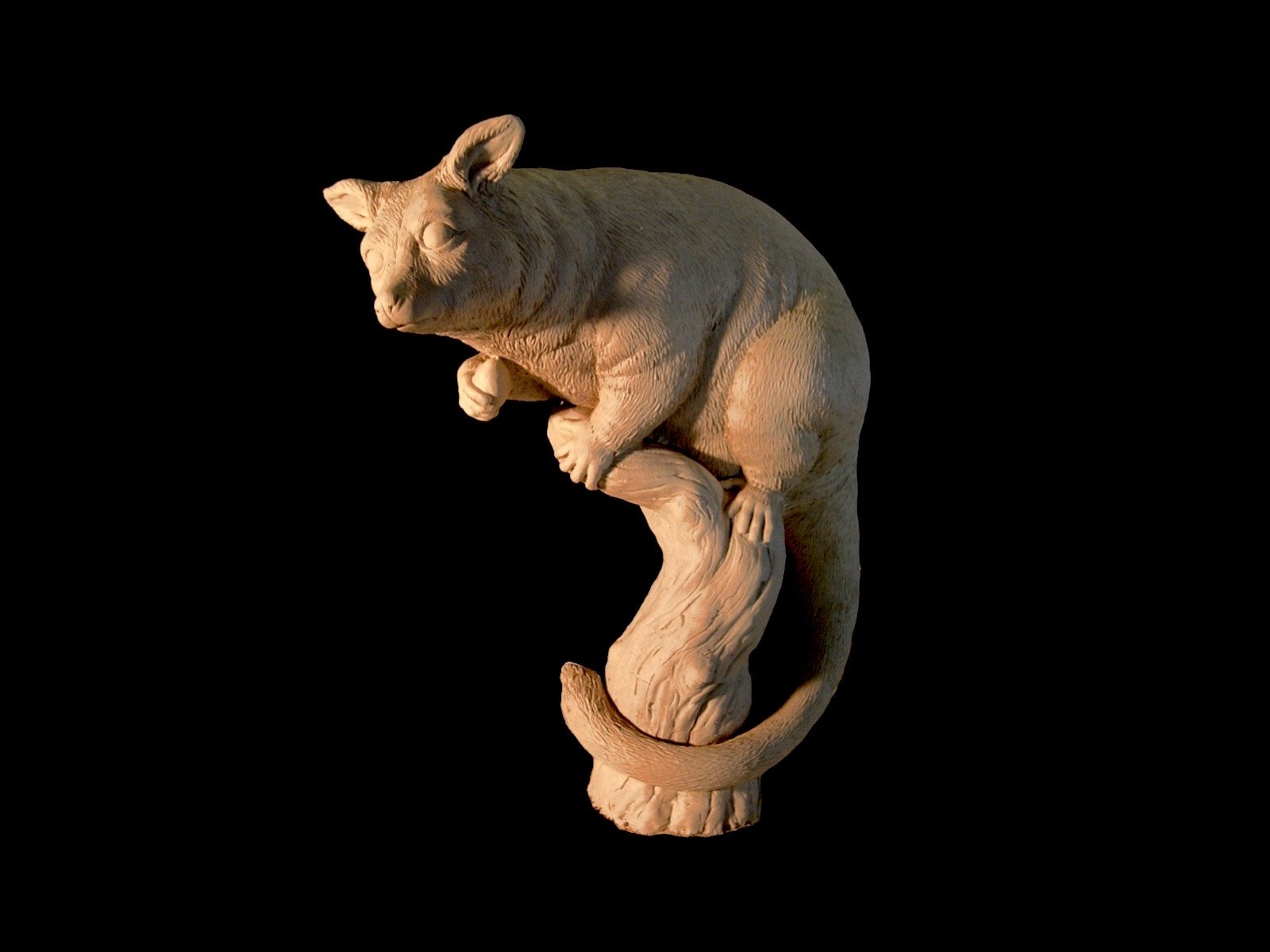 Possum_reproduction piece copy.jpg