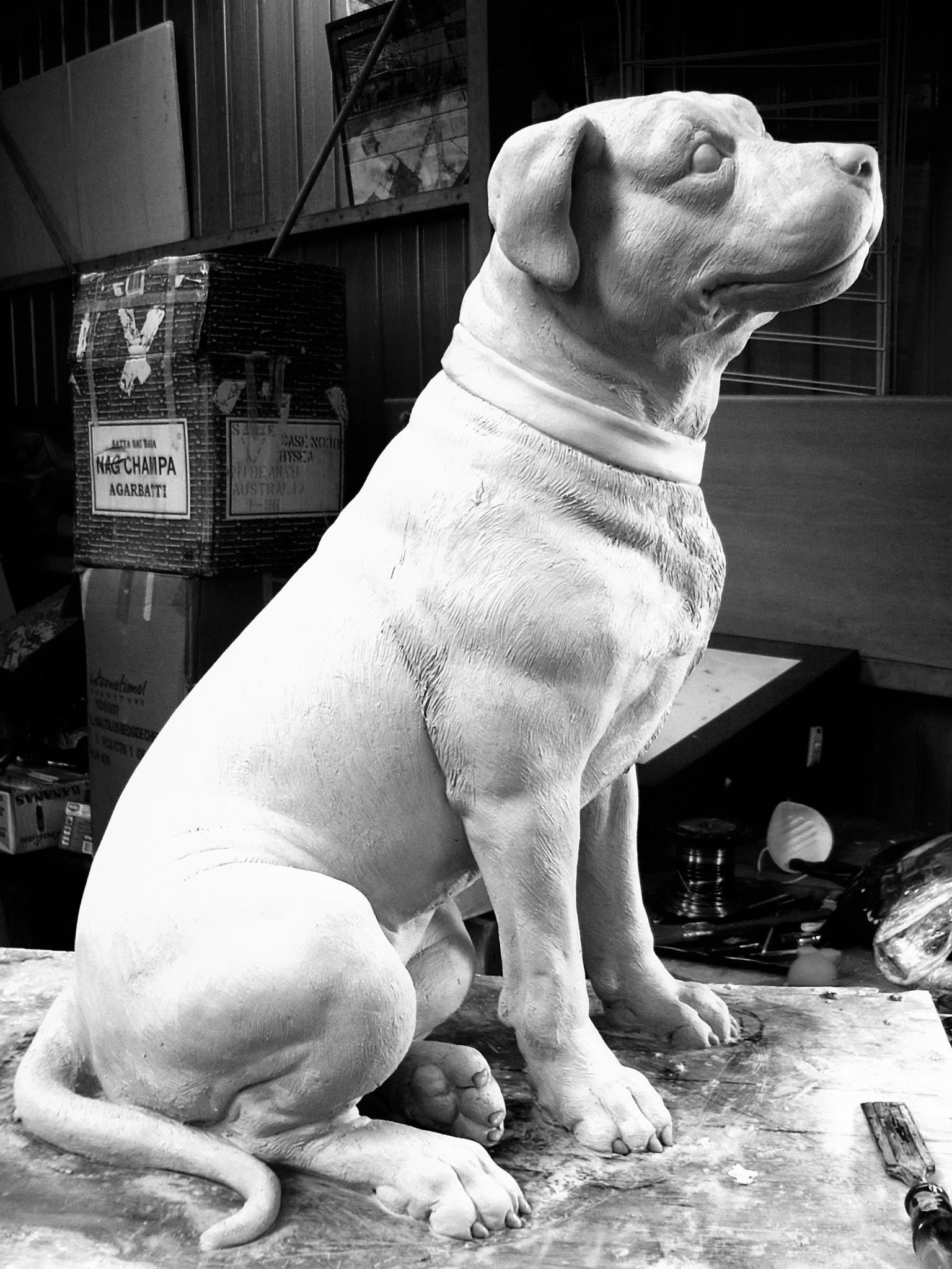 staffy robots 129 copy.jpg