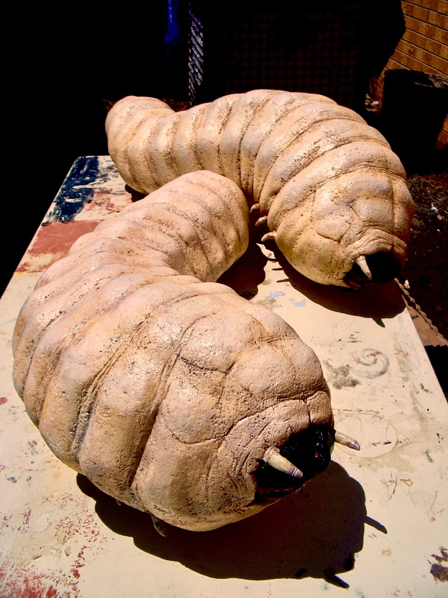 2007-01-30 033 copy 2.jpg