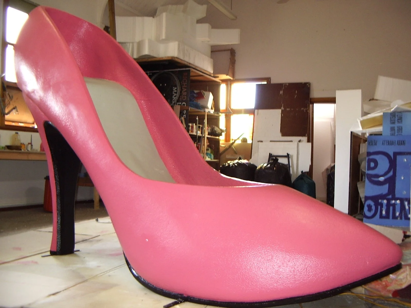 pink shoe copy.jpg