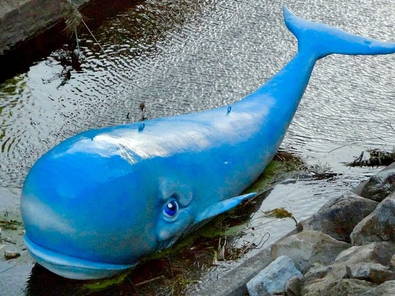 whale.jpg
