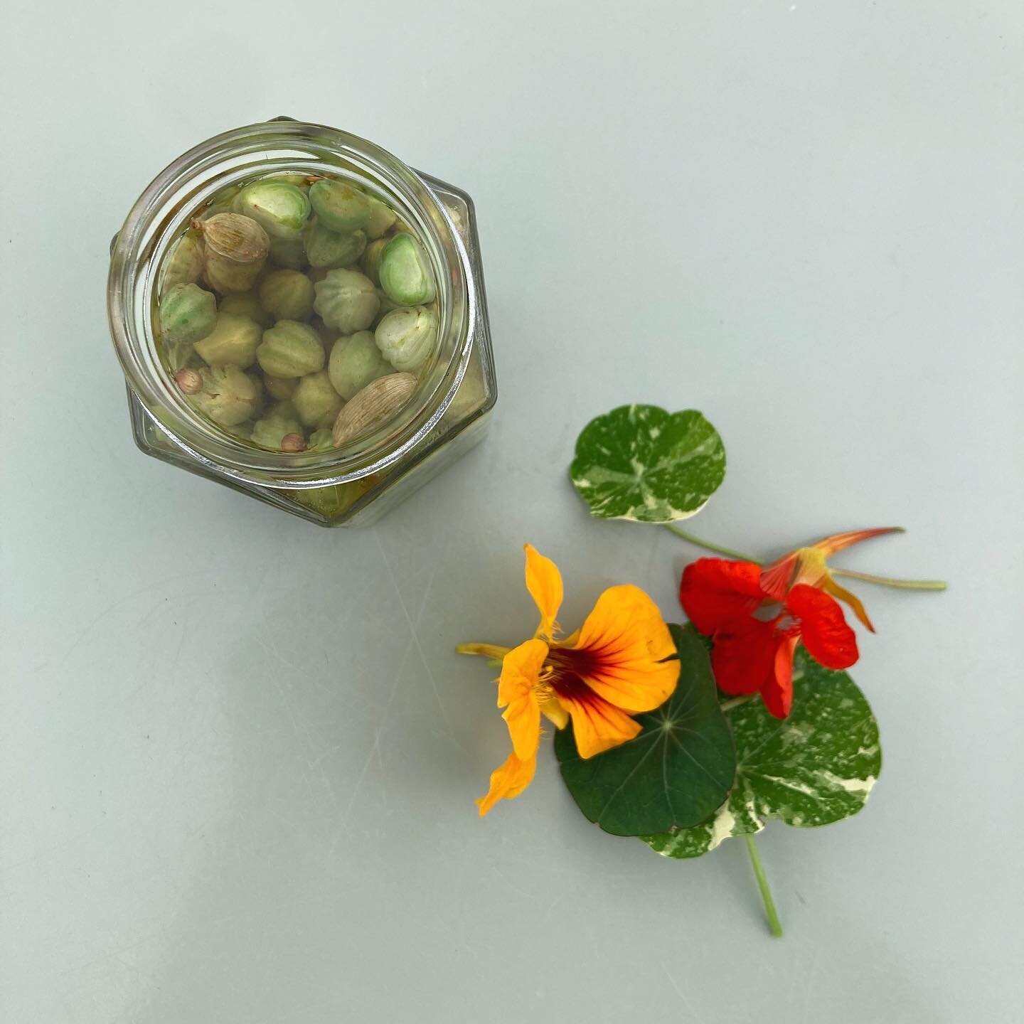 The nasturtiums have produced enough seeds to take over the world this year!

After collecting more than enough seed for next year&rsquo;s plants, there was still plenty left. So I&rsquo;ve tried something new (for me)&hellip; nasturtium capers. 

Gr