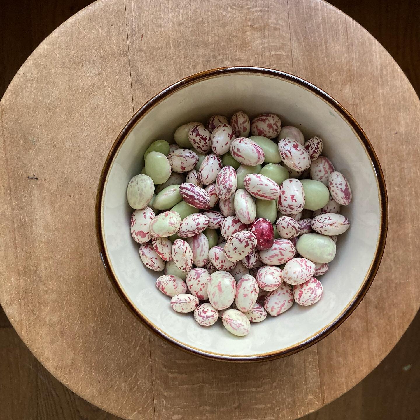 Beautiful, speckled borlotti beans. 

The last bowlful of fresh borlotti beans from the veg patch for this year (but I&rsquo;ve saved plenty of seed to plant next spring!) These plump beans will be gently braised in oil, garlic and stock until they&r