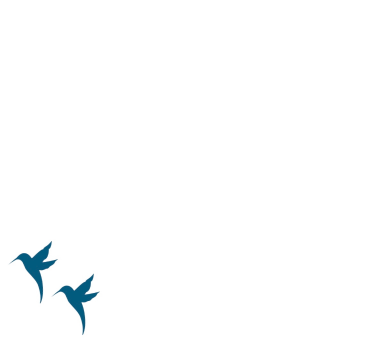 Two hummingbirds together