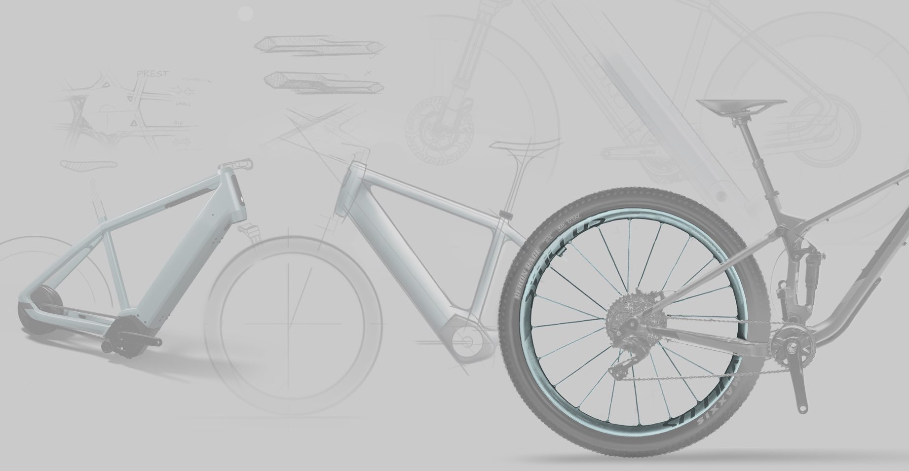Radiate_Bike_Division_Pic_1.jpg