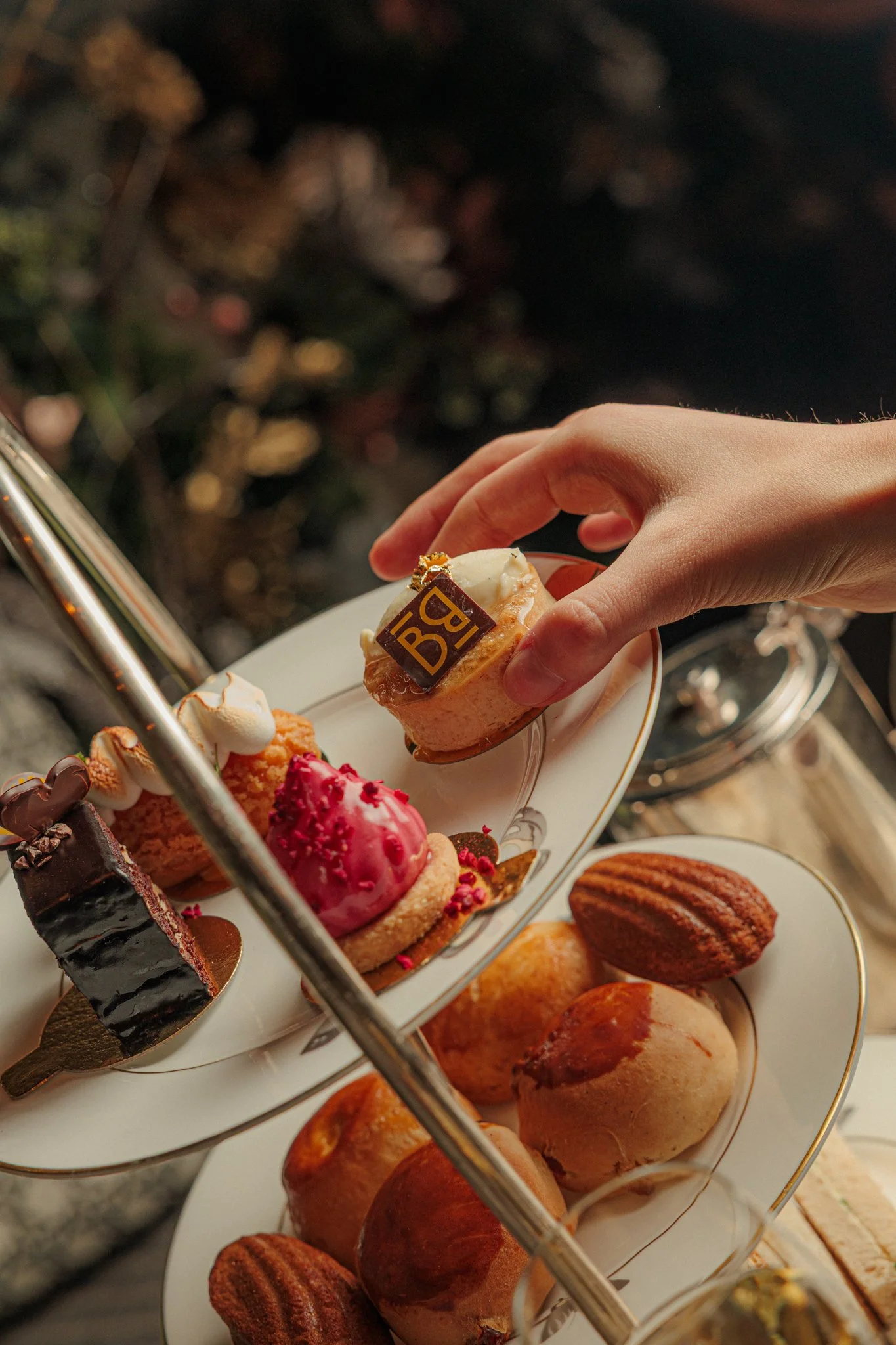 Bloom (44 of 48).jpg