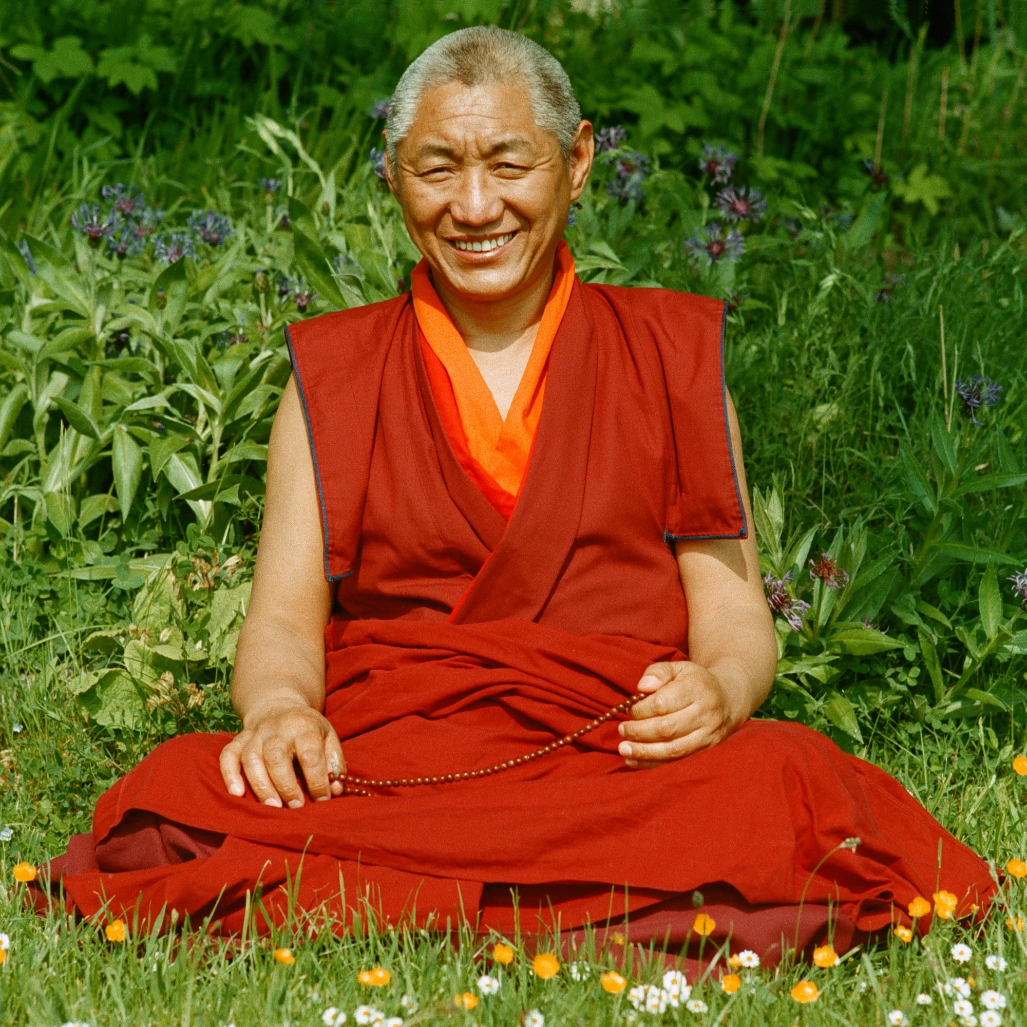 geshe-damcho.webp