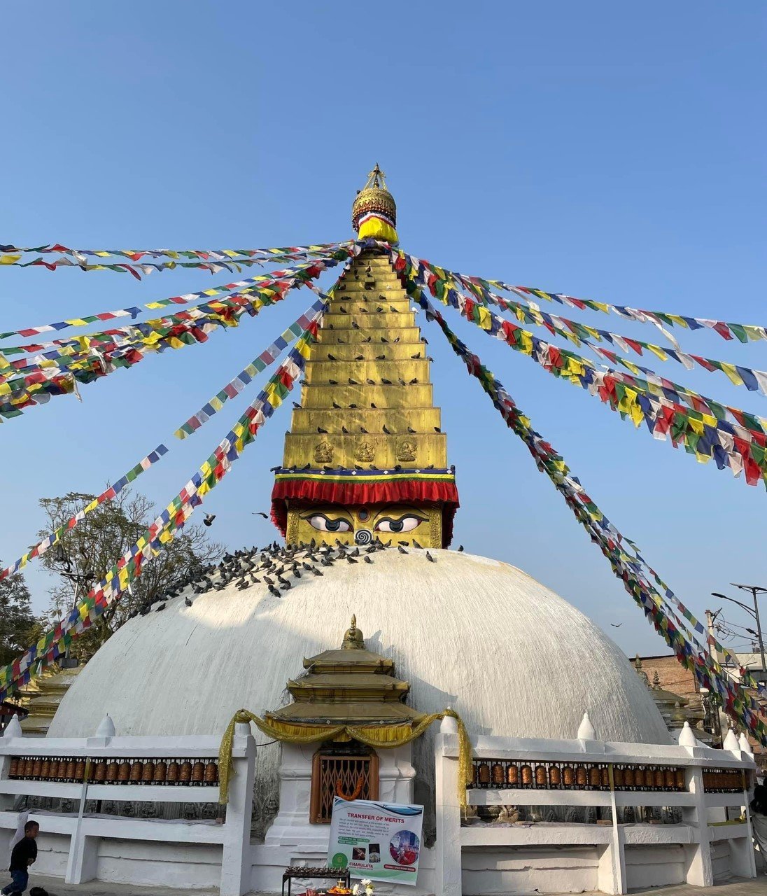 Understanding the Mind (Onsite) - Saturday, 8th July 2023