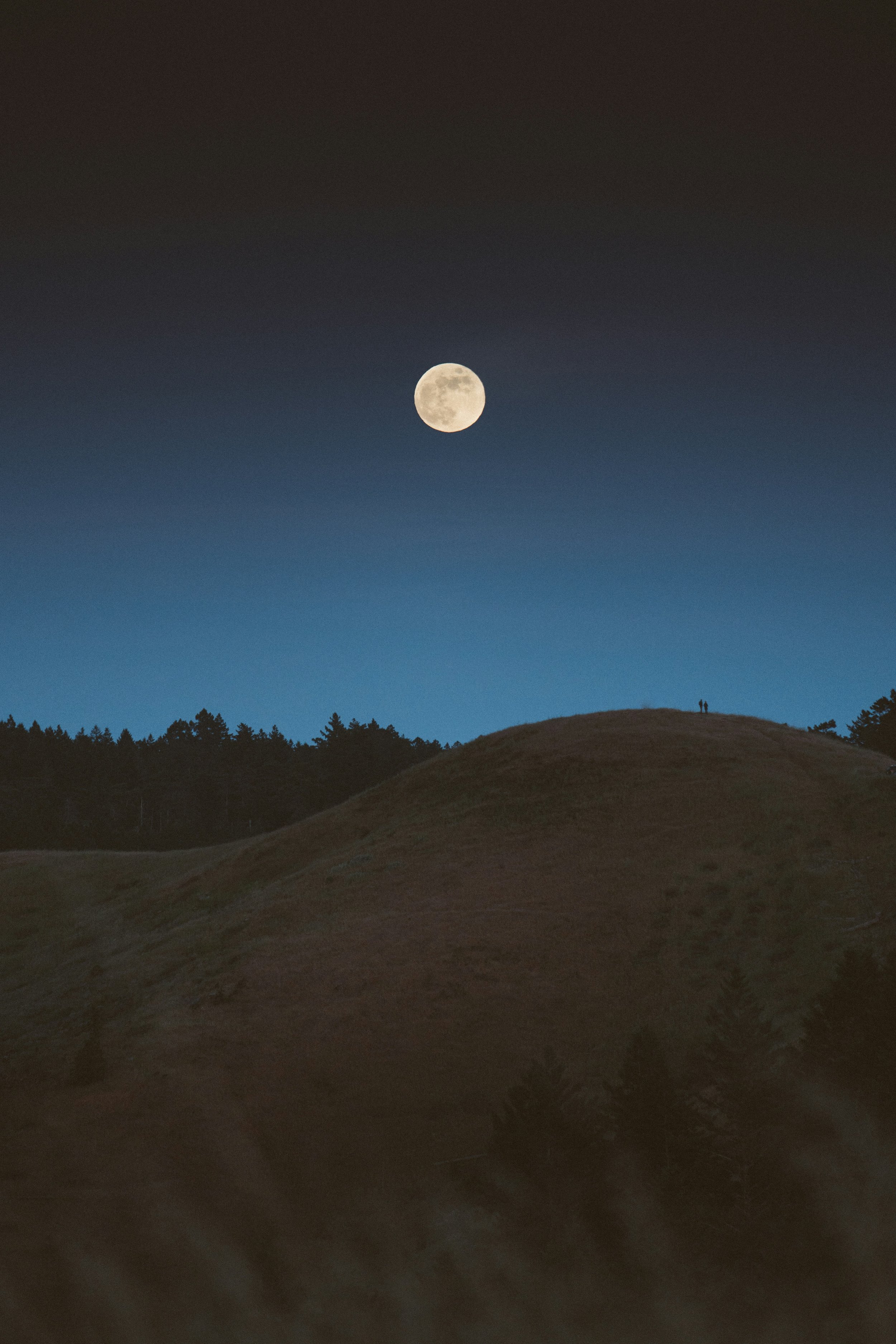 kevin-wolf-i3WLR3KYAP8-unsplash.jpg