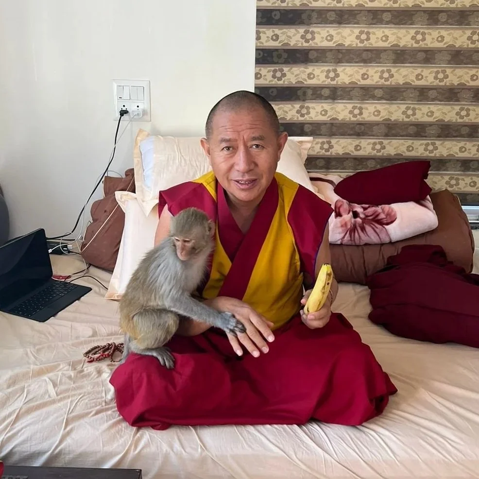 khenwithmonkey.jpg (Copy)