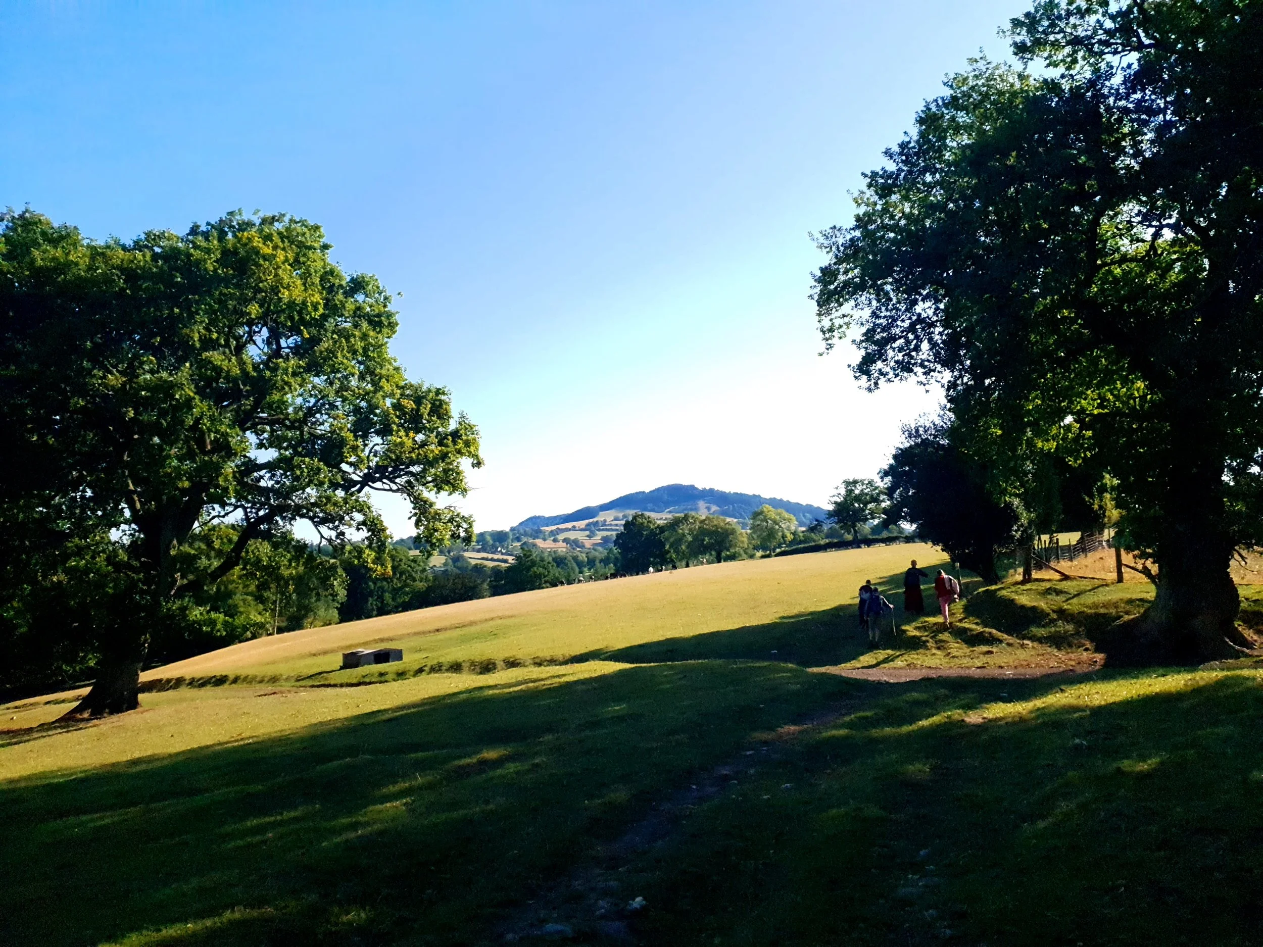 Group Walking Beautiful Green.jpg