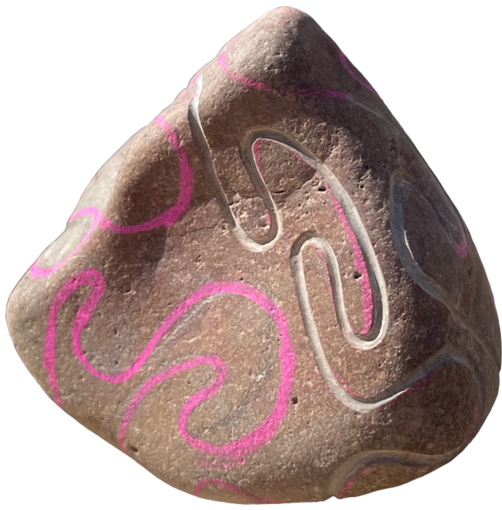 Close-up of a brown rock with pink spiral and white line markings on its surface.