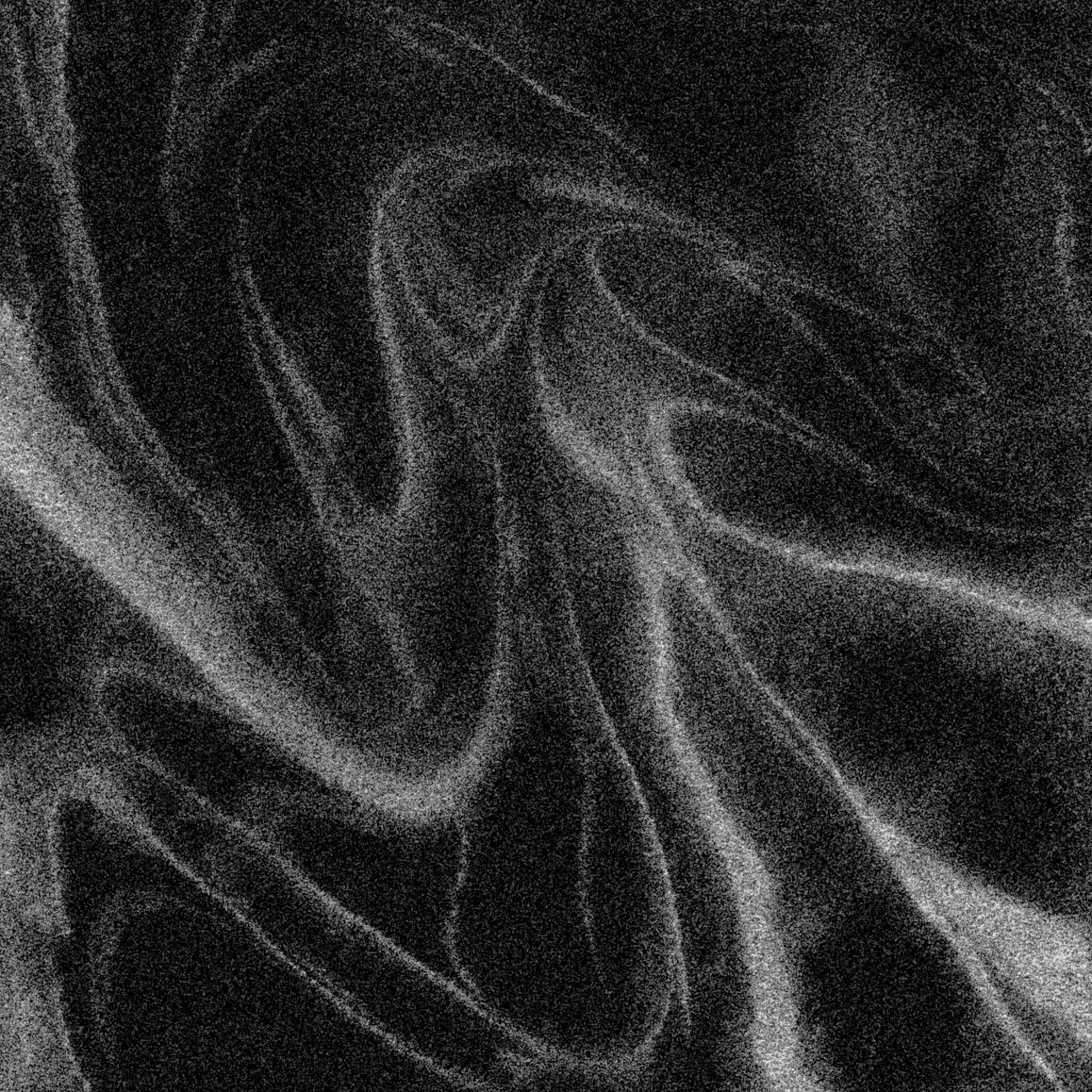 Abstract black and white swirls and lines forming a textured pattern.