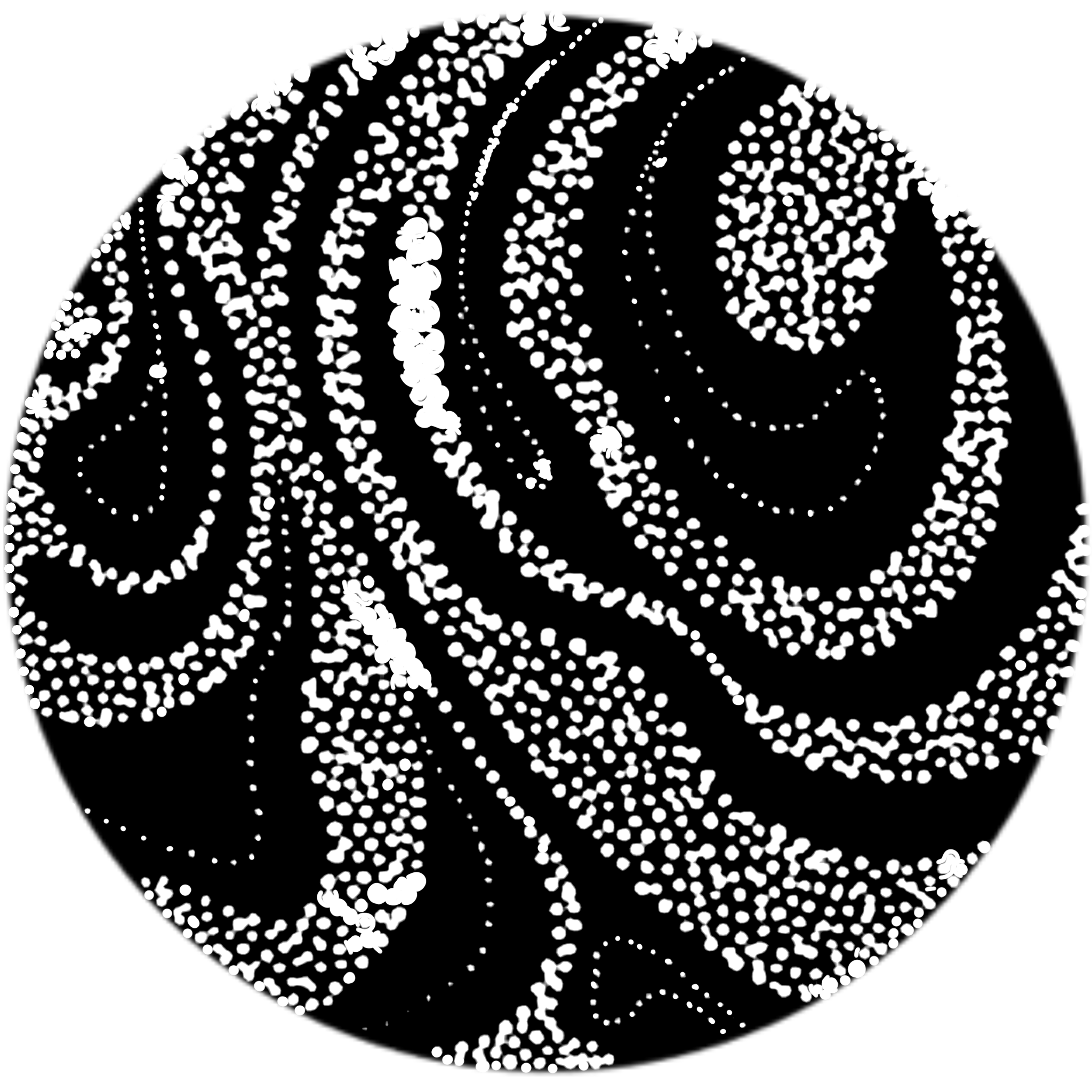 Black background with white dotted line drawing of a bear's face and upper body.