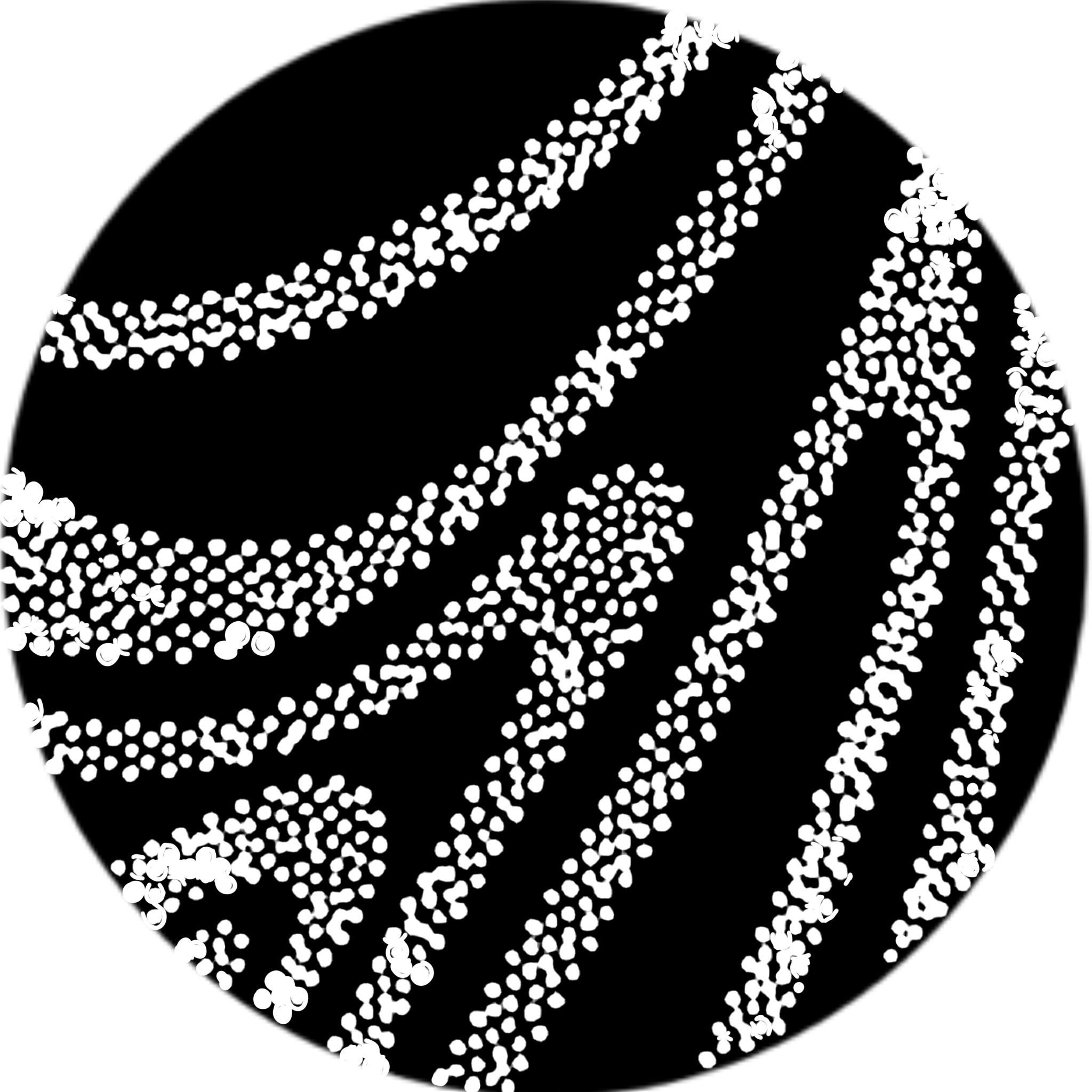 Dot pattern with white dots on black background, with curved lines and shapes.