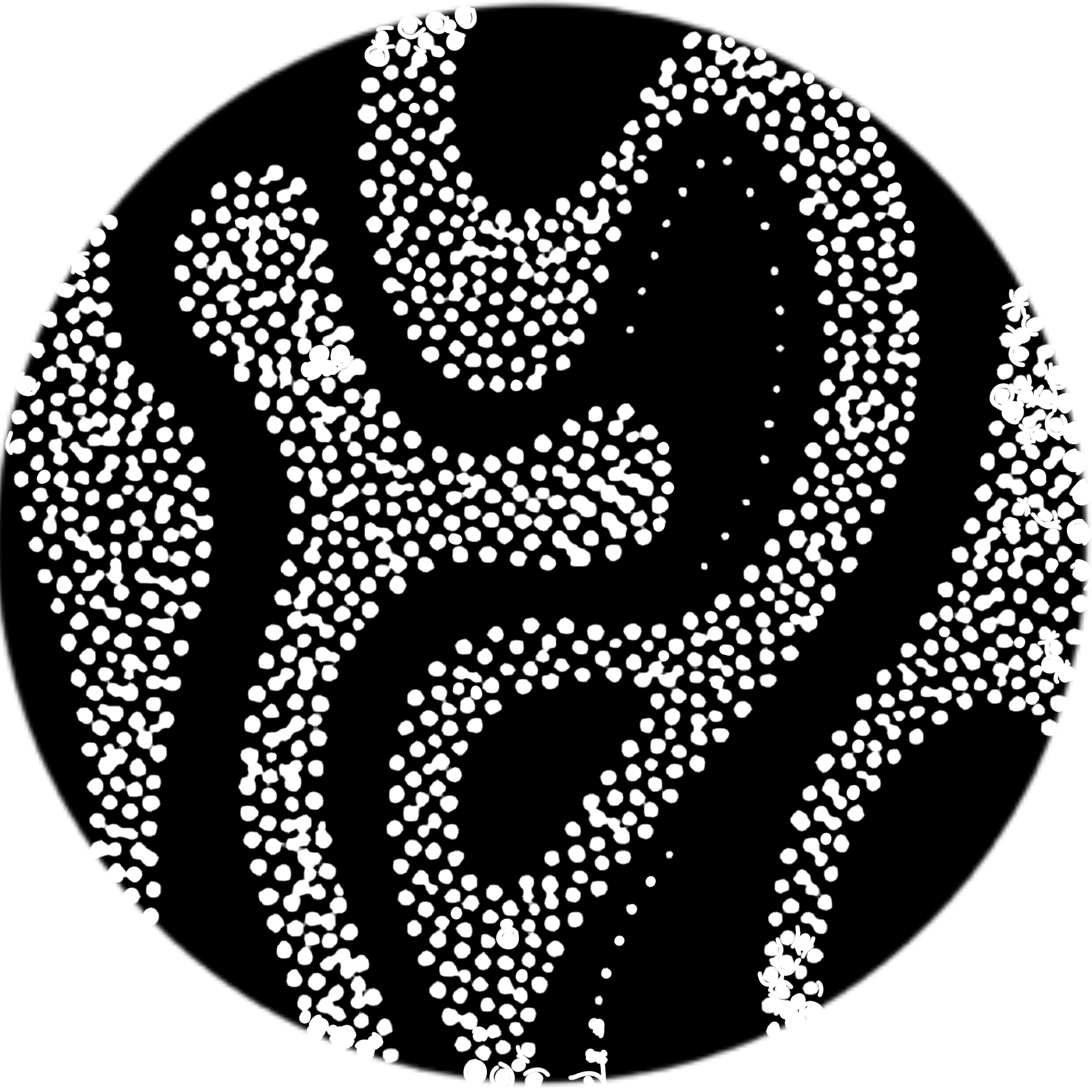 Close-up of small white dots arranged in a pattern on a black background forming a stylized emblem.